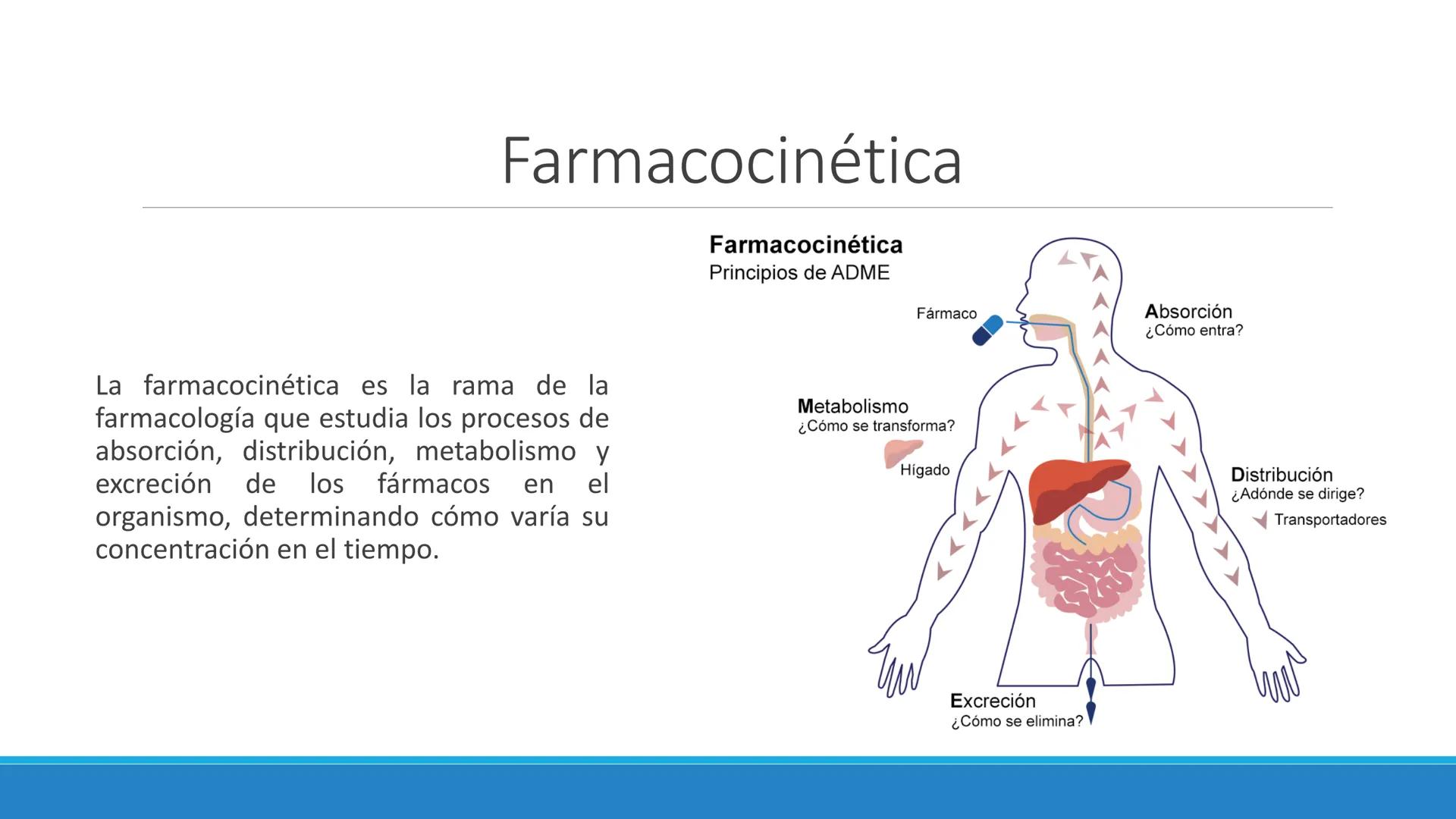 # Farmacocinética
FARMACOLOGÍA, NUTRICIÓN
DR. EN C. JORGE JUAN ALBERTO BACA ALONSO
0
JERSIDAD
autono
a
aguascalIENTES
ய
+1! # Farmacociné