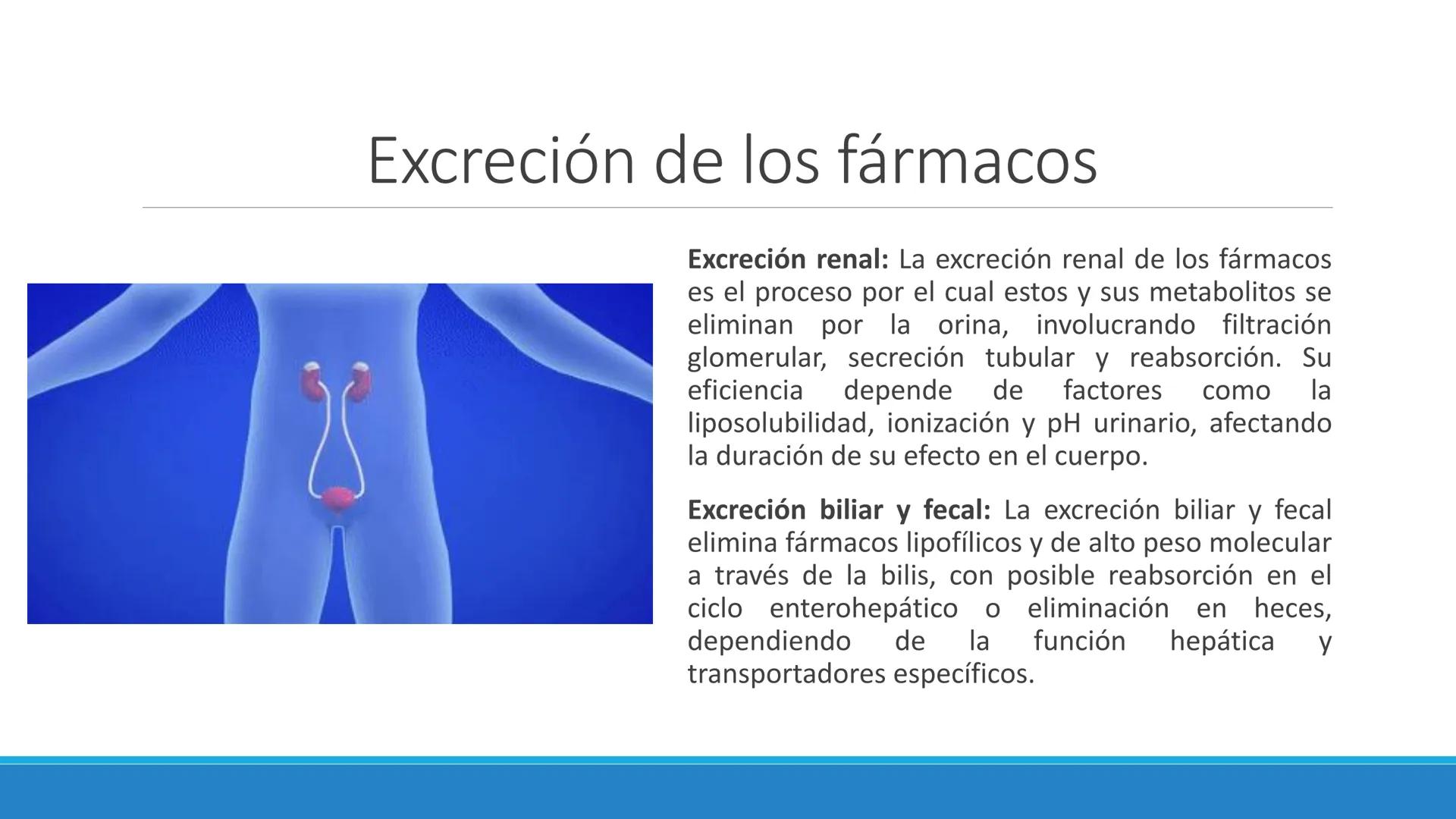 # Farmacocinética
FARMACOLOGÍA, NUTRICIÓN
DR. EN C. JORGE JUAN ALBERTO BACA ALONSO
0
JERSIDAD
autono
a
aguascalIENTES
ய
+1! # Farmacociné