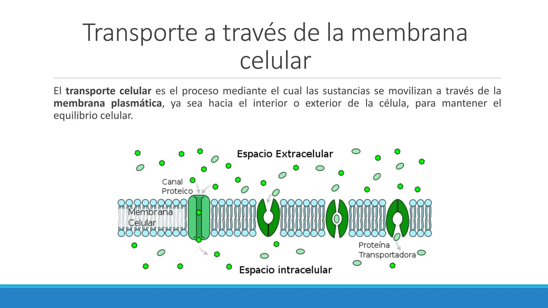 # Farmacocinética
FARMACOLOGÍA, NUTRICIÓN
DR. EN C. JORGE JUAN ALBERTO BACA ALONSO
0
JERSIDAD
autono
a
aguascalIENTES
ய
+1! # Farmacociné