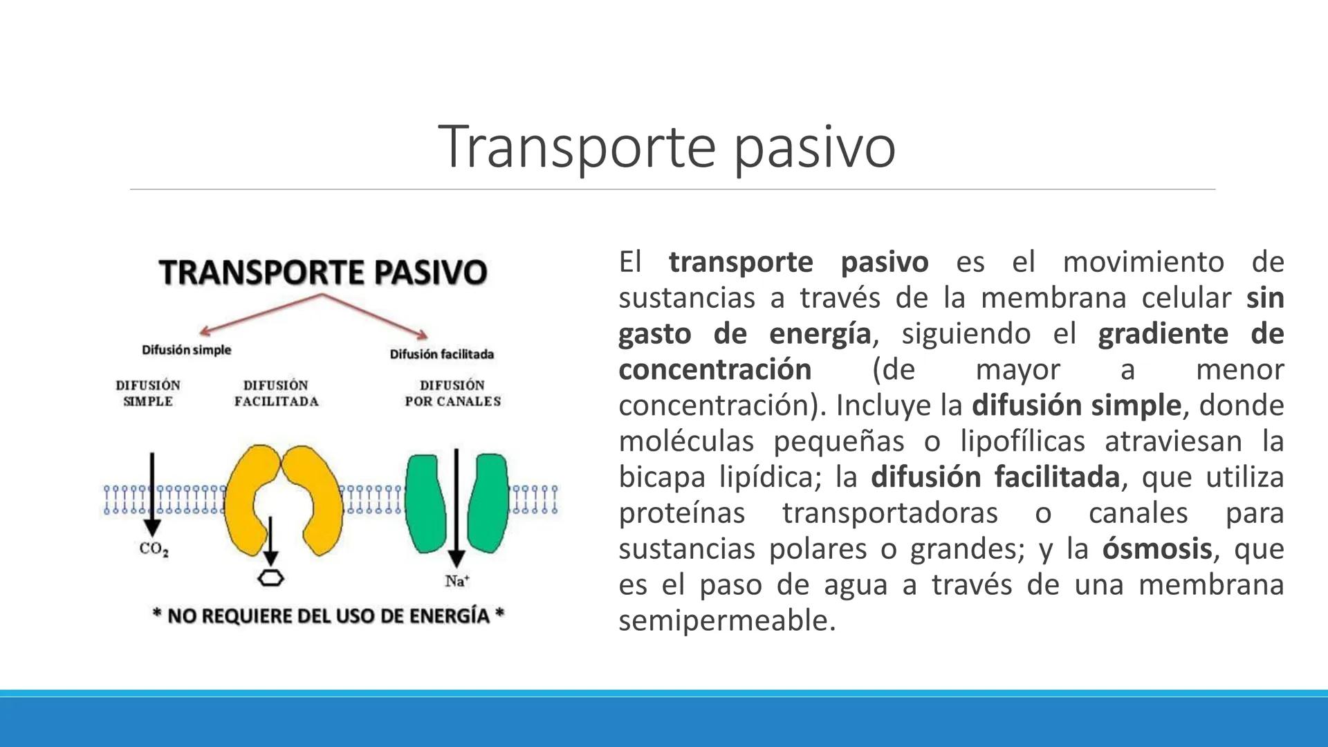 # Farmacocinética
FARMACOLOGÍA, NUTRICIÓN
DR. EN C. JORGE JUAN ALBERTO BACA ALONSO
0
JERSIDAD
autono
a
aguascalIENTES
ய
+1! # Farmacociné