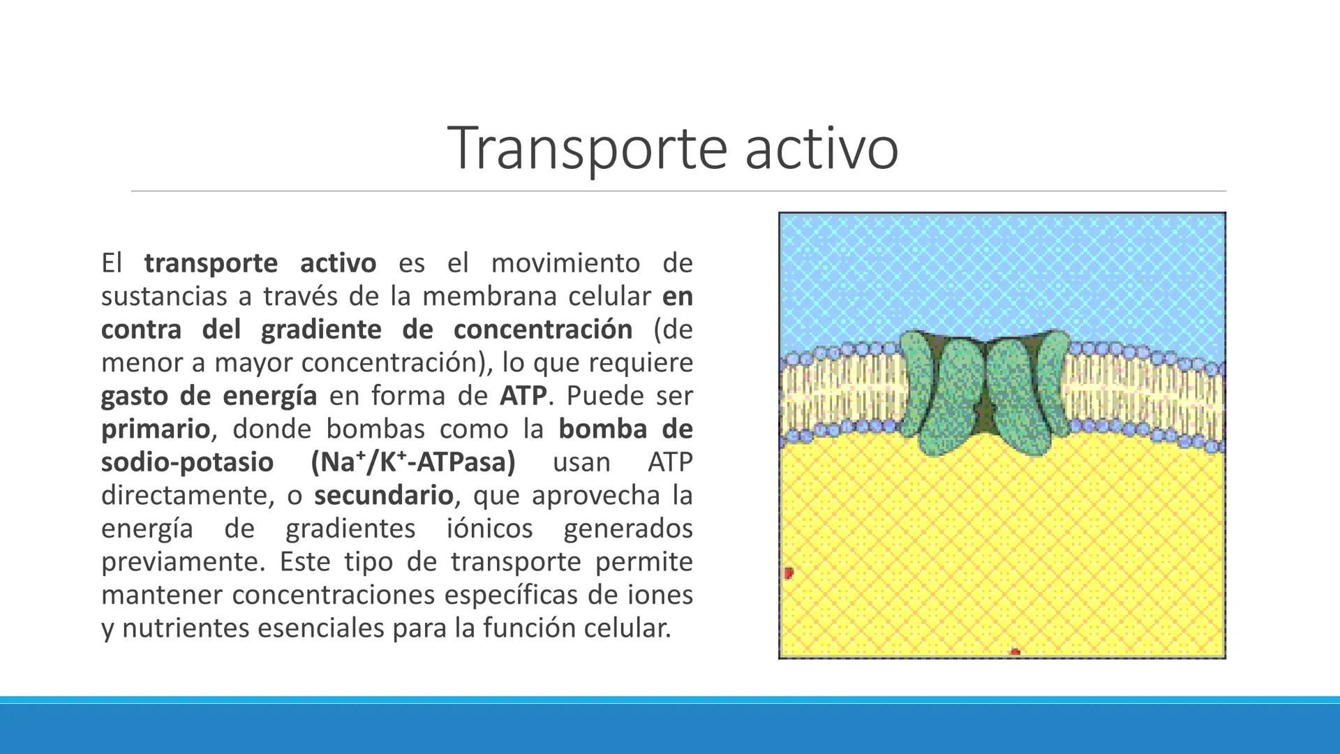 # Farmacocinética
FARMACOLOGÍA, NUTRICIÓN
DR. EN C. JORGE JUAN ALBERTO BACA ALONSO
0
JERSIDAD
autono
a
aguascalIENTES
ய
+1! # Farmacociné