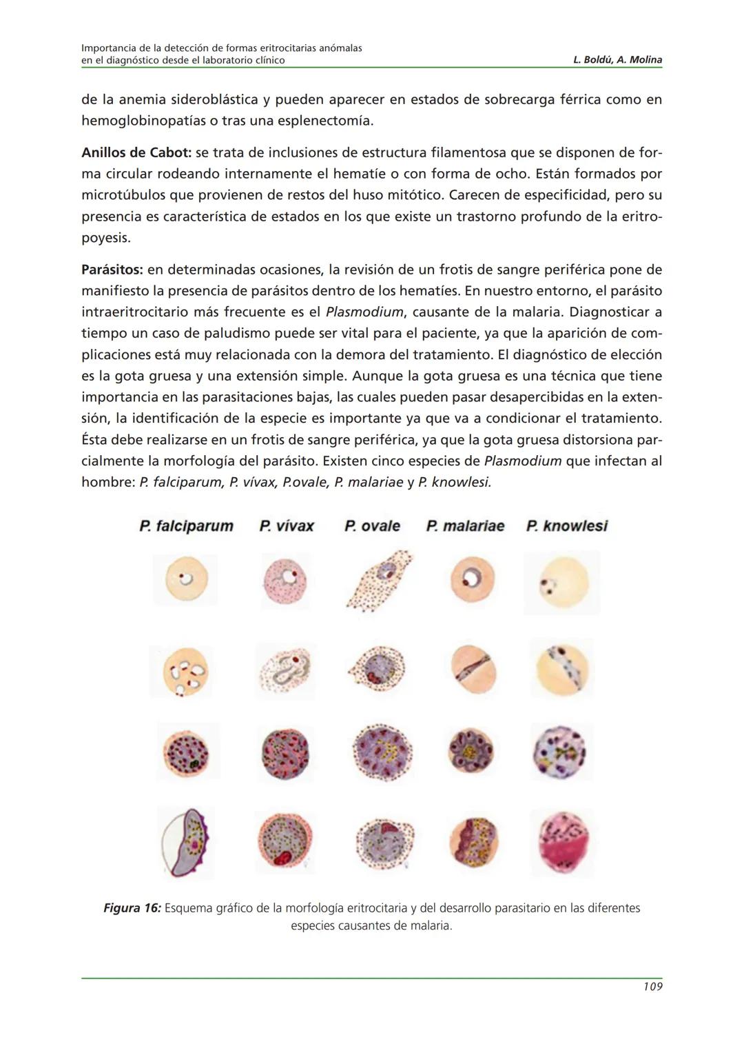 Fundación JL Castaño
SEQC ML
Sociedad Española de Medicina de Laboratorio
2019-2020
SEQC
CURSO DE EDUCACIÓN CONTINUADA EN EL LABORATORIO C