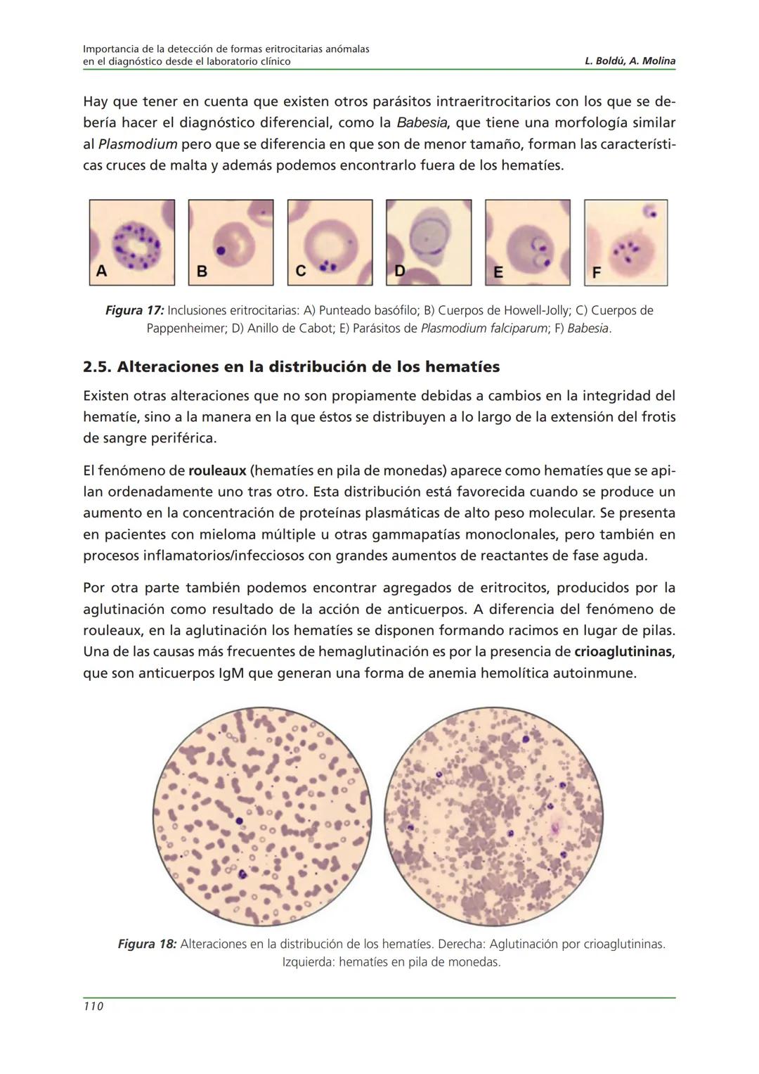 Fundación JL Castaño
SEQC ML
Sociedad Española de Medicina de Laboratorio
2019-2020
SEQC
CURSO DE EDUCACIÓN CONTINUADA EN EL LABORATORIO C