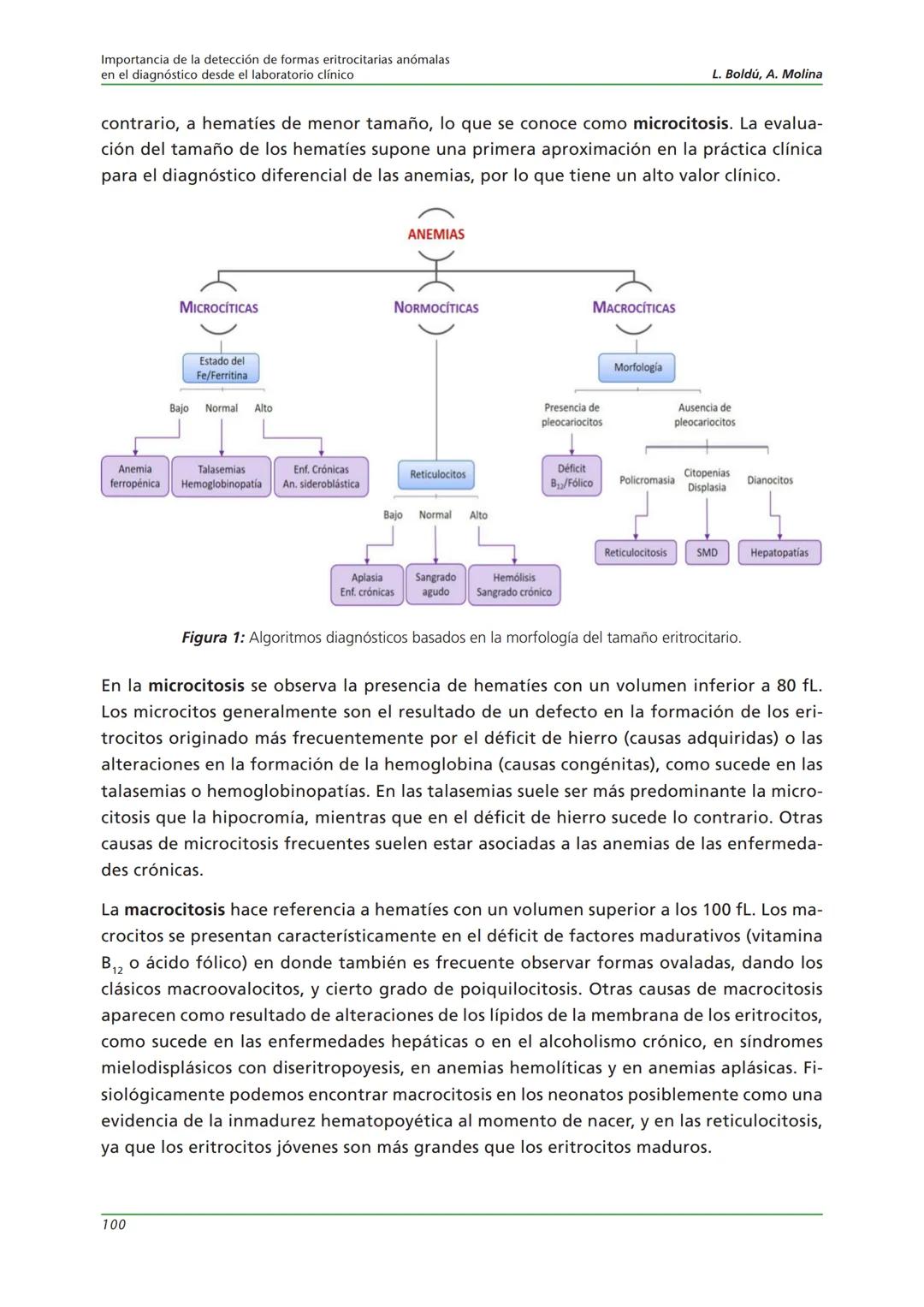 Fundación JL Castaño
SEQC ML
Sociedad Española de Medicina de Laboratorio
2019-2020
SEQC
CURSO DE EDUCACIÓN CONTINUADA EN EL LABORATORIO C