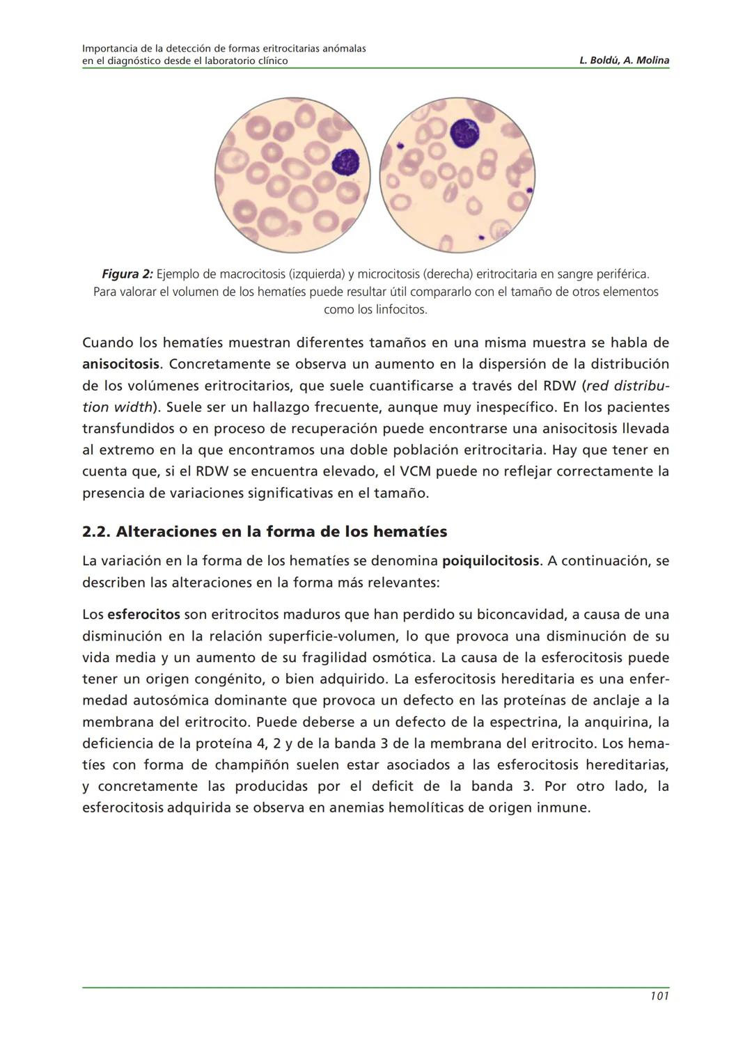 Fundación JL Castaño
SEQC ML
Sociedad Española de Medicina de Laboratorio
2019-2020
SEQC
CURSO DE EDUCACIÓN CONTINUADA EN EL LABORATORIO C