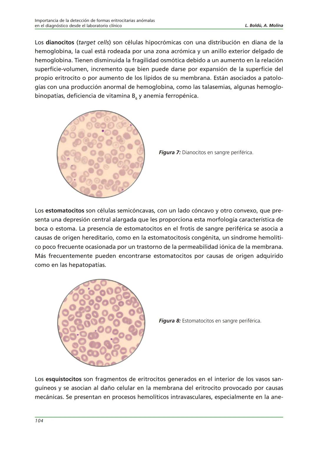 Fundación JL Castaño
SEQC ML
Sociedad Española de Medicina de Laboratorio
2019-2020
SEQC
CURSO DE EDUCACIÓN CONTINUADA EN EL LABORATORIO C