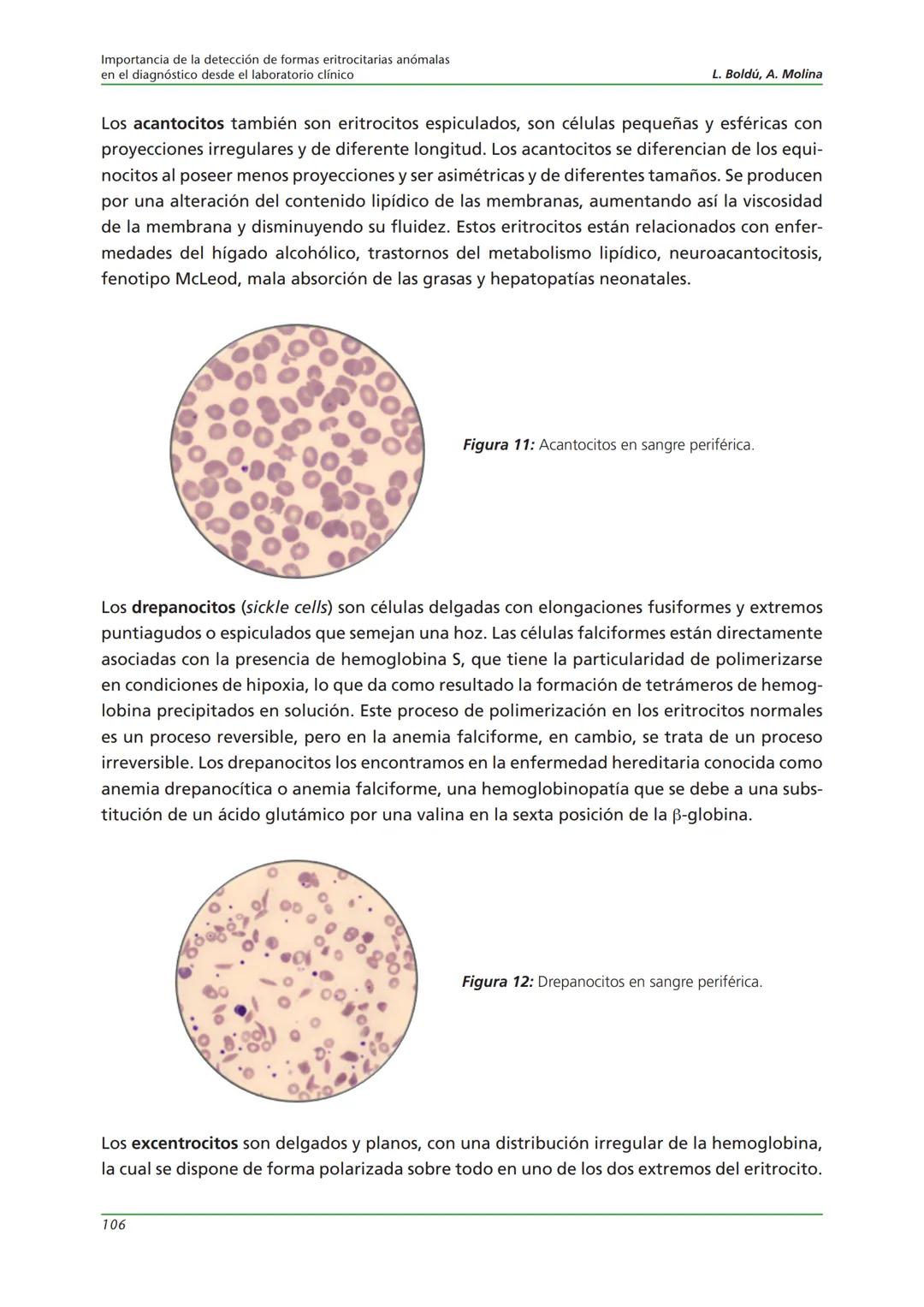 Fundación JL Castaño
SEQC ML
Sociedad Española de Medicina de Laboratorio
2019-2020
SEQC
CURSO DE EDUCACIÓN CONTINUADA EN EL LABORATORIO C