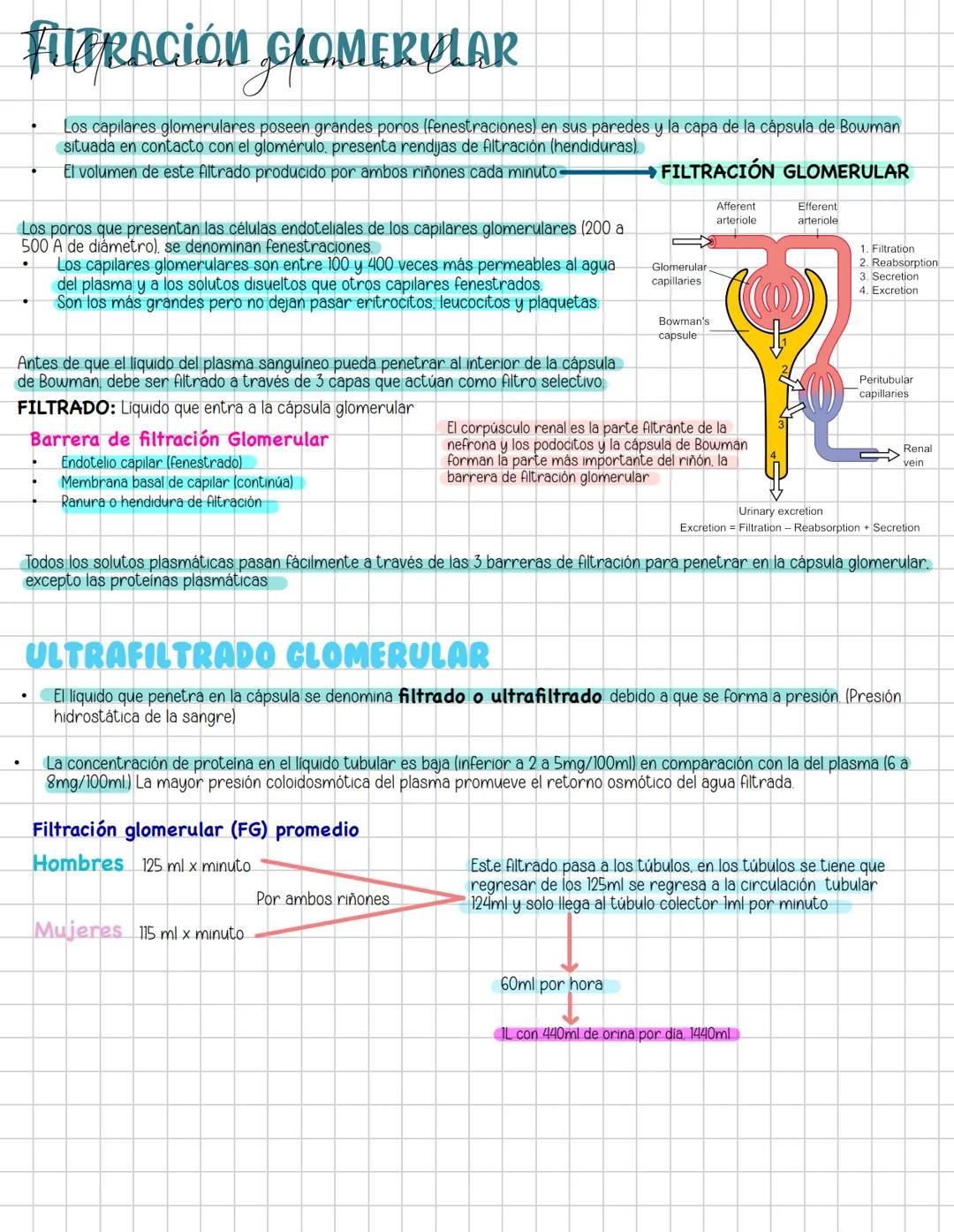 # Liquidos corporales
# Fisiologia Renal
Componentes La función más importante de los riñones es controlar el liquido en el organismo, el