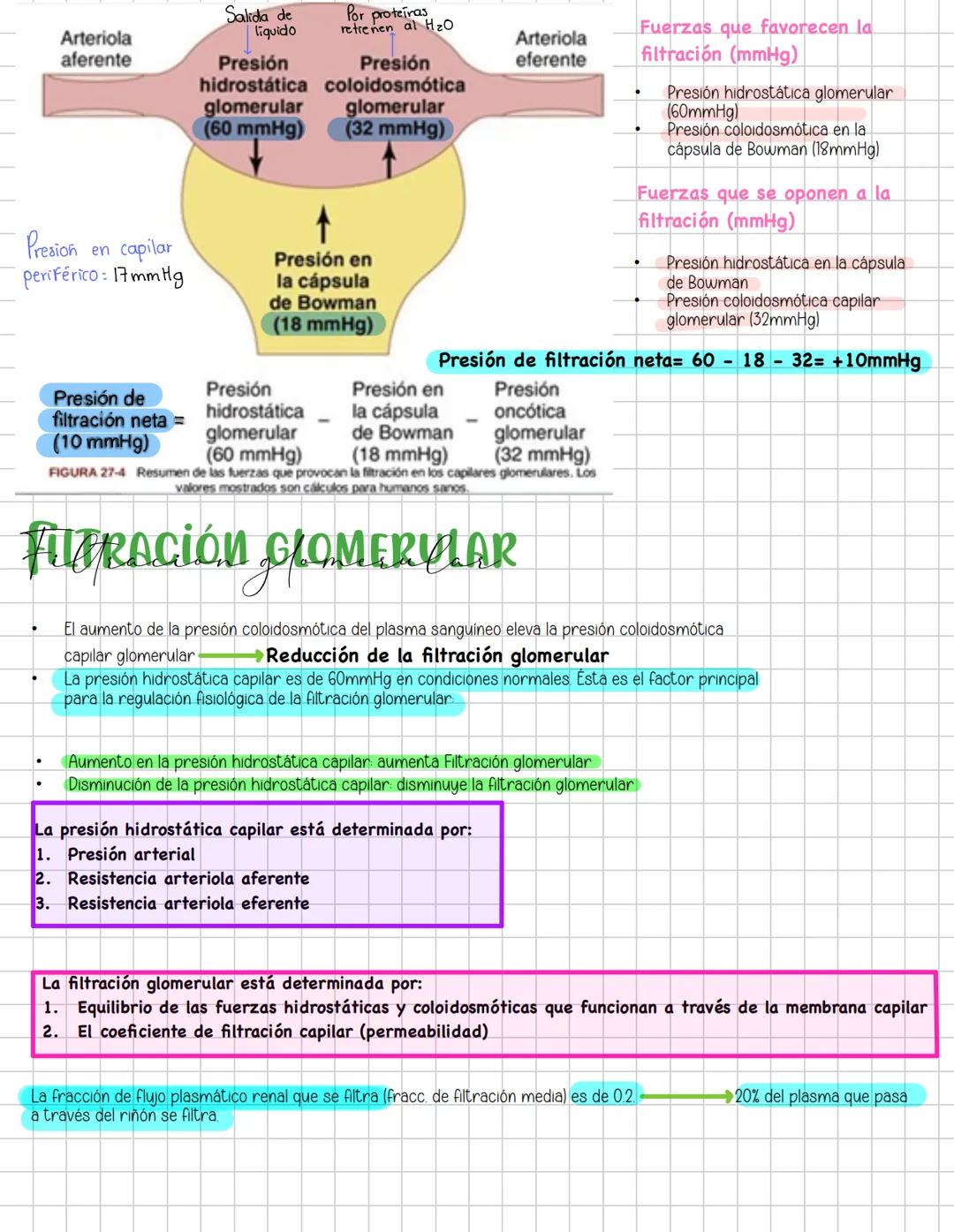 # Liquidos corporales
# Fisiologia Renal
Componentes La función más importante de los riñones es controlar el liquido en el organismo, el