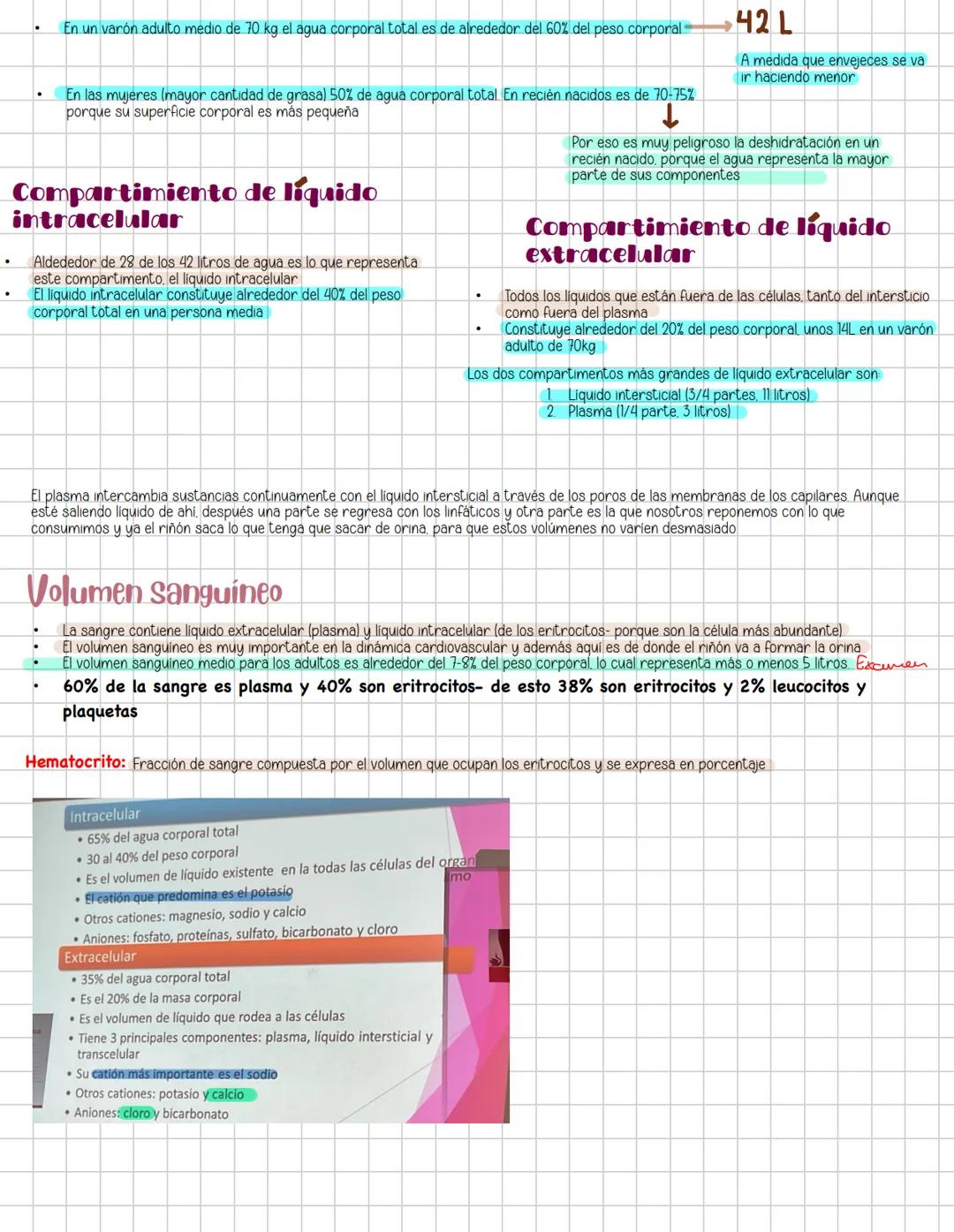 # Liquidos corporales
# Fisiologia Renal
Componentes La función más importante de los riñones es controlar el liquido en el organismo, el