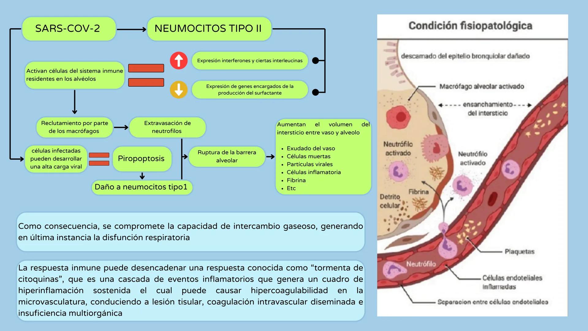 UATX
UNIVERSIDAD AUTÓNOMA DE TLAXCALA
COVID-19
- Sandra Isamar Pérez Zárate
- Diana Laura George Muñoz
- Valeria Martínez Pérez
- Ana Belén
