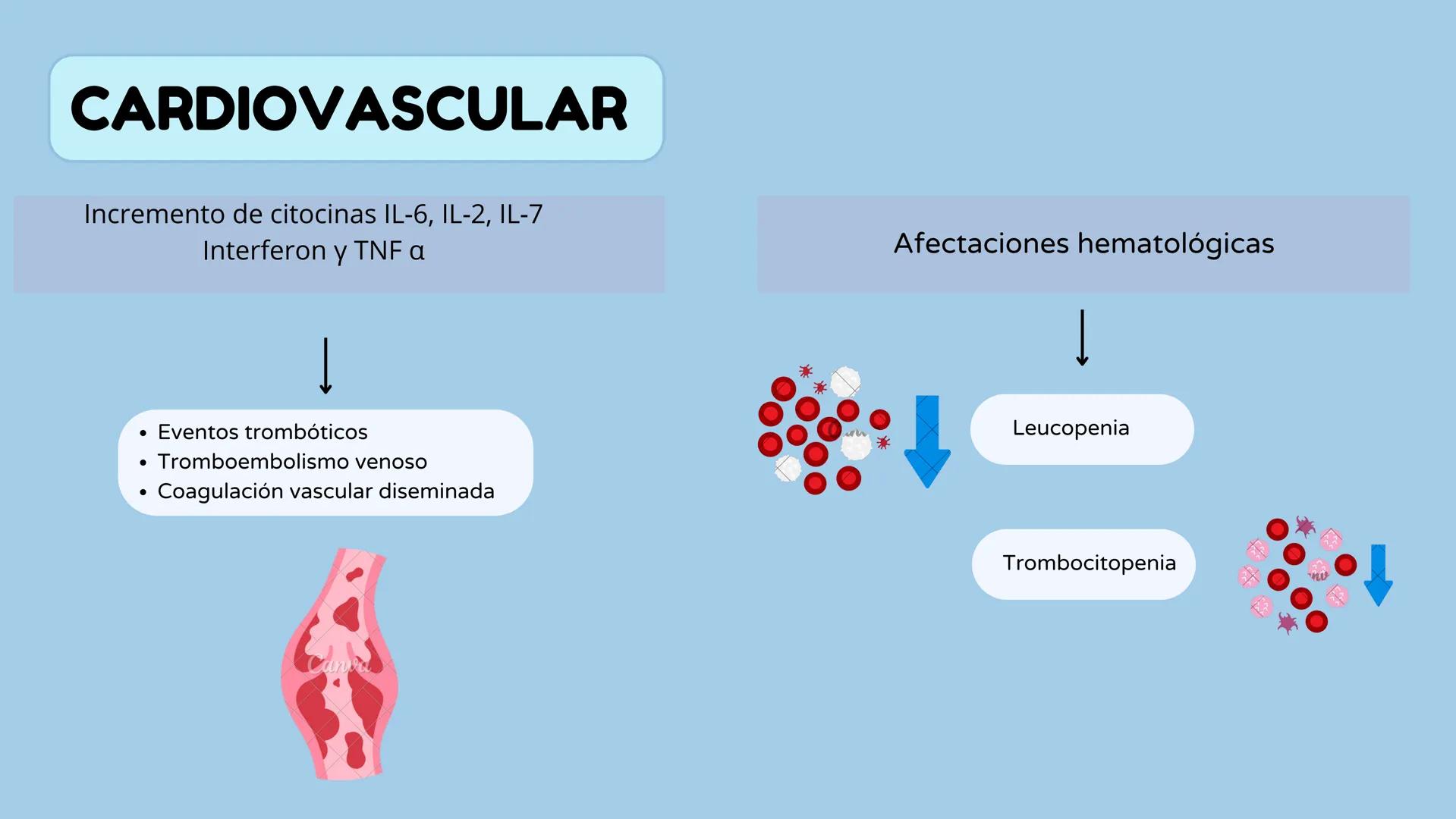 UATX
UNIVERSIDAD AUTÓNOMA DE TLAXCALA
COVID-19
- Sandra Isamar Pérez Zárate
- Diana Laura George Muñoz
- Valeria Martínez Pérez
- Ana Belén