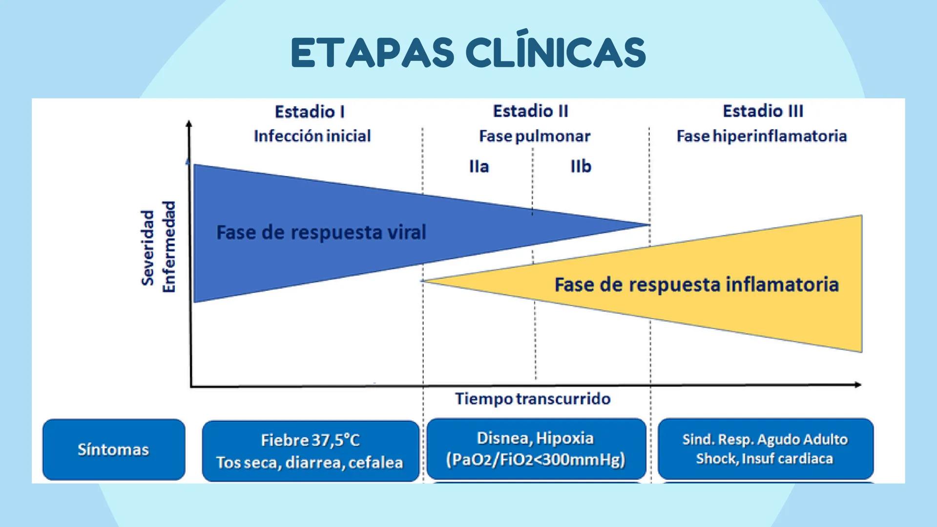 UATX
UNIVERSIDAD AUTÓNOMA DE TLAXCALA
COVID-19
- Sandra Isamar Pérez Zárate
- Diana Laura George Muñoz
- Valeria Martínez Pérez
- Ana Belén