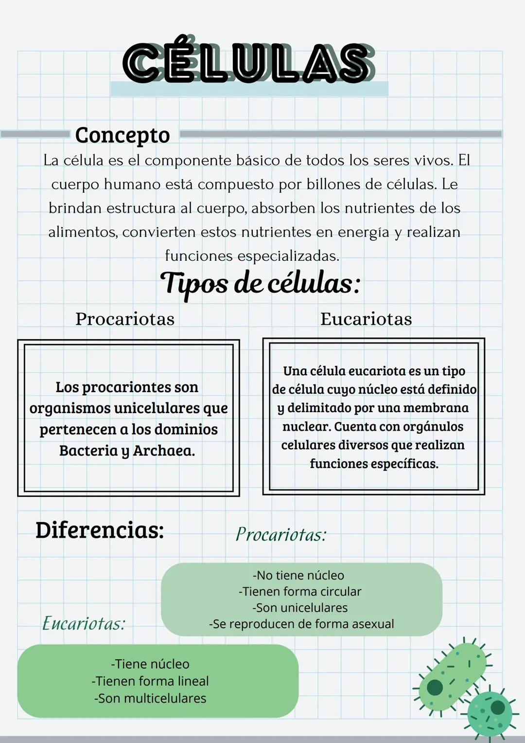 # CÉLULAS
## Concepto
La célula es el componente básico de todos los seres vivos. El
cuerpo humano está compuesto por billones de células.