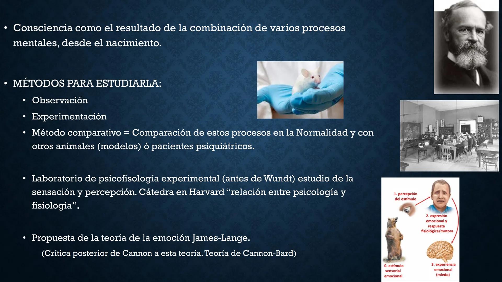 # MÉTODOS
# CUANTITATIVOS EN
# PSICOLOGÍA
Dra. Araceli Martínez Moreno
14 de enero, 2025
00
INVESTIGATION
321
000
S # PRESENTACIÓN ¿Q