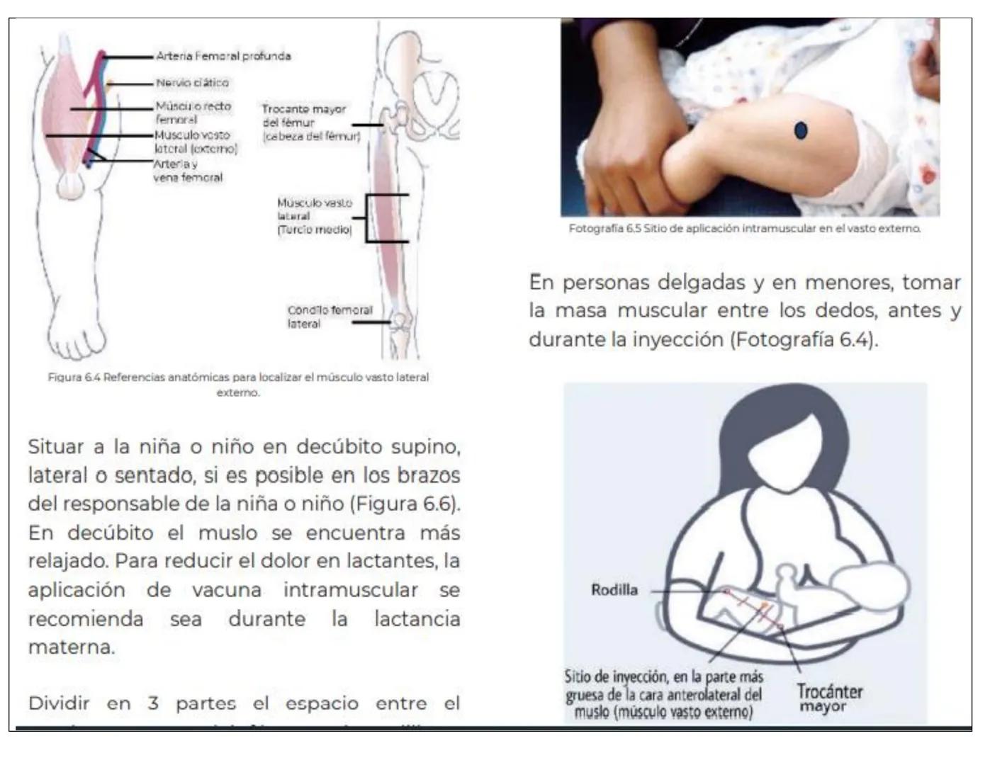 ESQUEMA NACIONAL DE VACUNACIÓN
1. Nombre de norma oficial mexicana de la vacunación:
PROYECTO de Norma Oficial Mexicana PROY-NOM-036-SSA2-