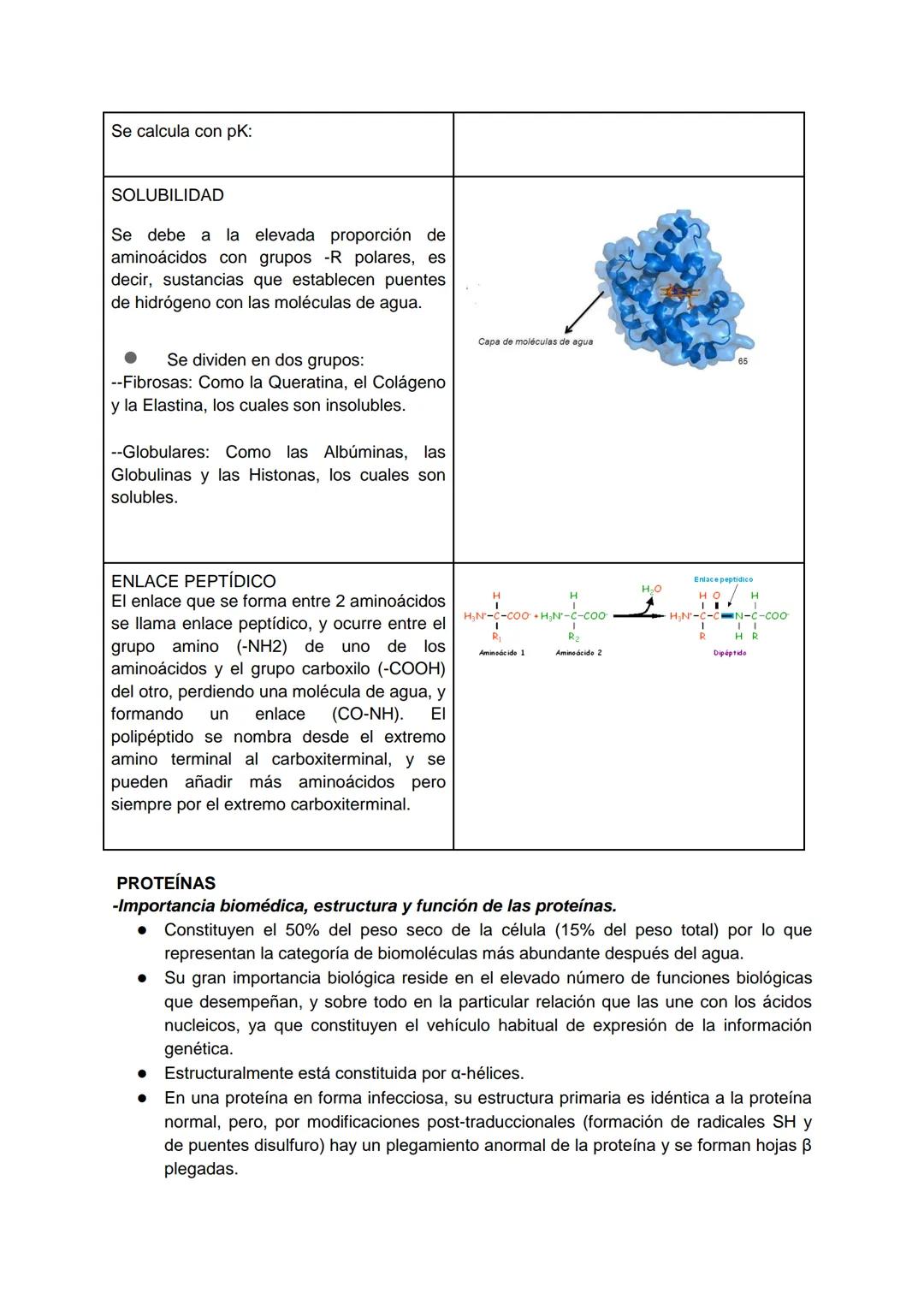 --- OCR Start ---
AGUA
-Importancia biomédica.
• El agua es un reactivo o un producto en muchas reacciones metabólicas.
• Soporte o medio de