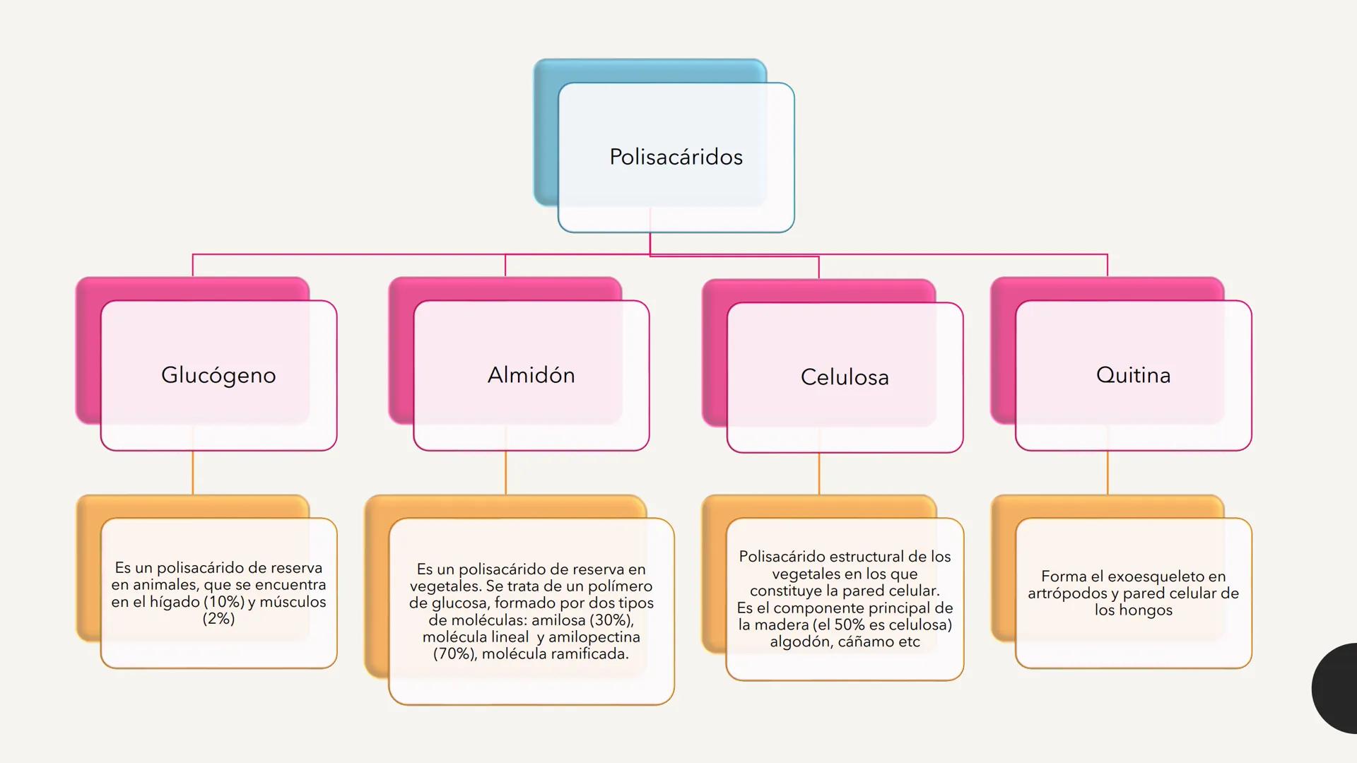 # CARBOHIDRATOS Los carbohidratos (hidratos de carbono)
incluyen azúcares, glucógeno, almidones y
celulosa. Si bien son un grupo grande y di