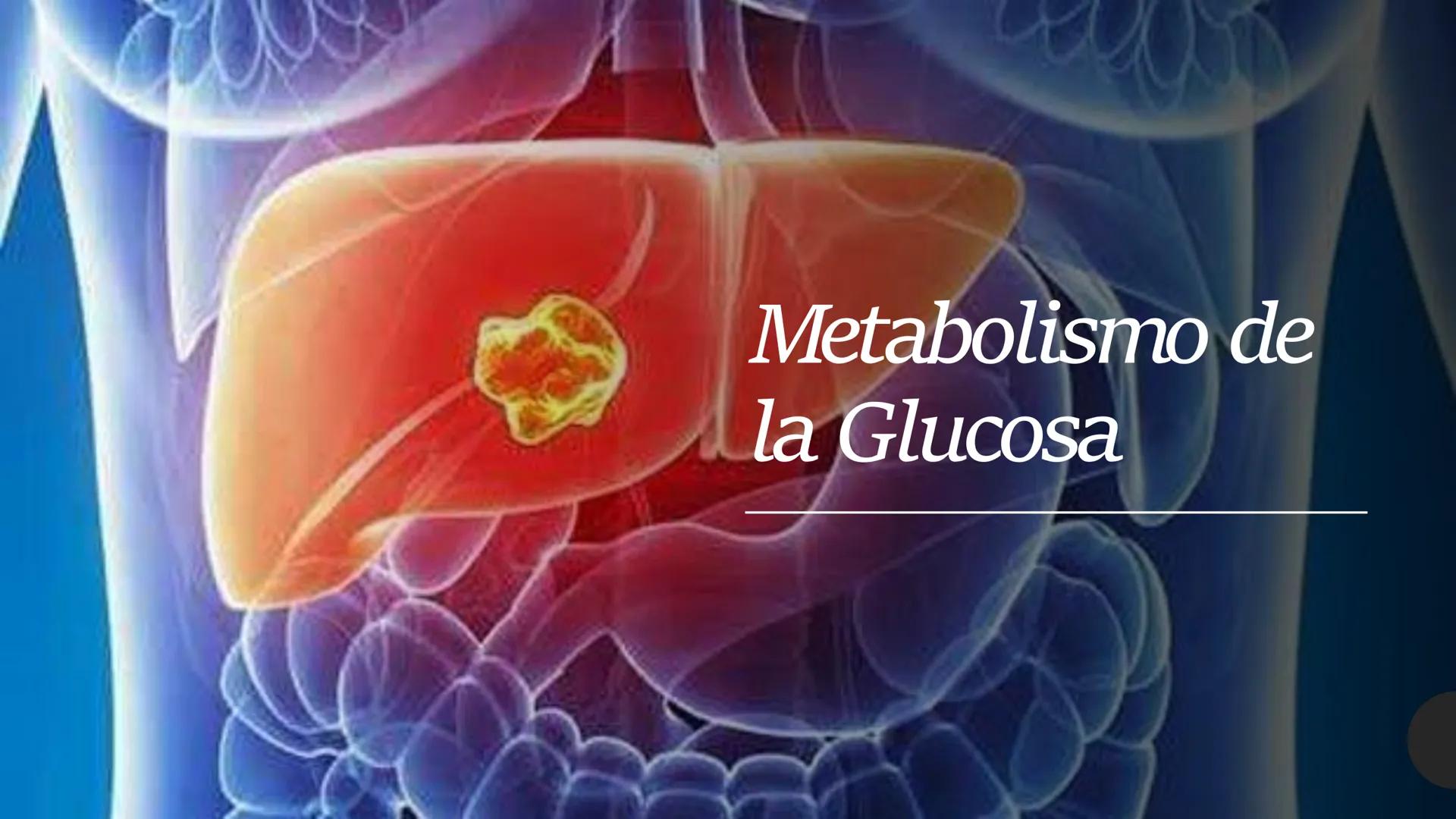 # CARBOHIDRATOS Los carbohidratos (hidratos de carbono)
incluyen azúcares, glucógeno, almidones y
celulosa. Si bien son un grupo grande y di