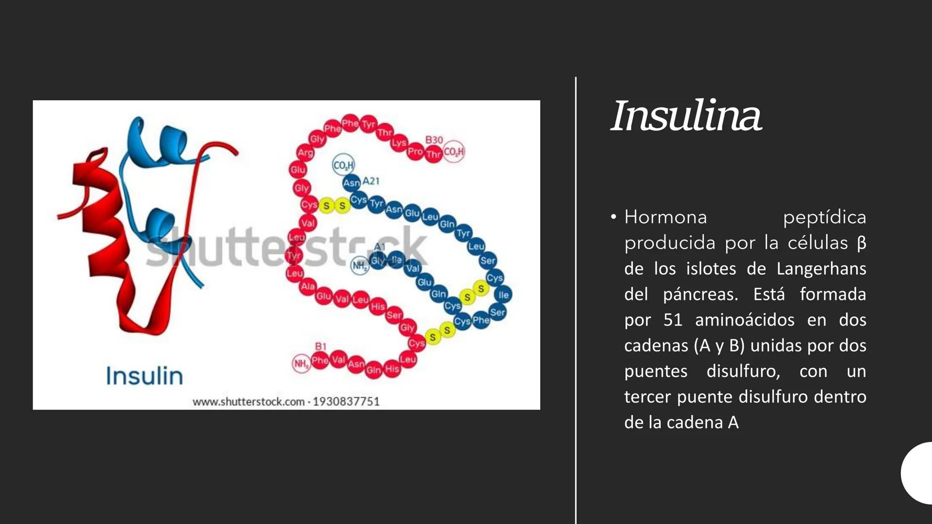 # CARBOHIDRATOS Los carbohidratos (hidratos de carbono)
incluyen azúcares, glucógeno, almidones y
celulosa. Si bien son un grupo grande y di