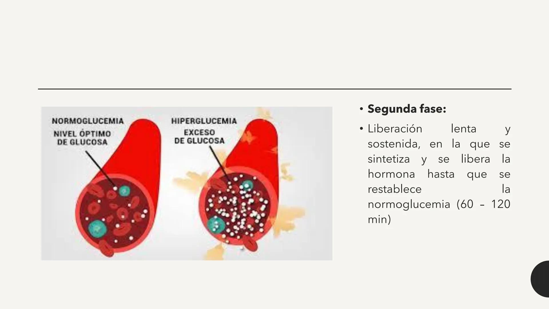 # CARBOHIDRATOS Los carbohidratos (hidratos de carbono)
incluyen azúcares, glucógeno, almidones y
celulosa. Si bien son un grupo grande y di