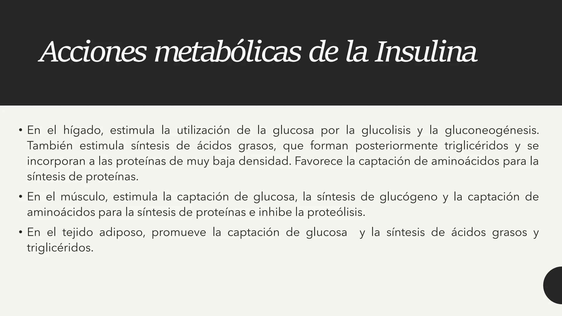 # CARBOHIDRATOS Los carbohidratos (hidratos de carbono)
incluyen azúcares, glucógeno, almidones y
celulosa. Si bien son un grupo grande y di
