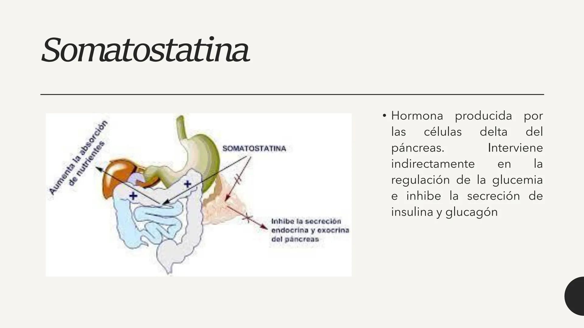 # CARBOHIDRATOS Los carbohidratos (hidratos de carbono)
incluyen azúcares, glucógeno, almidones y
celulosa. Si bien son un grupo grande y di