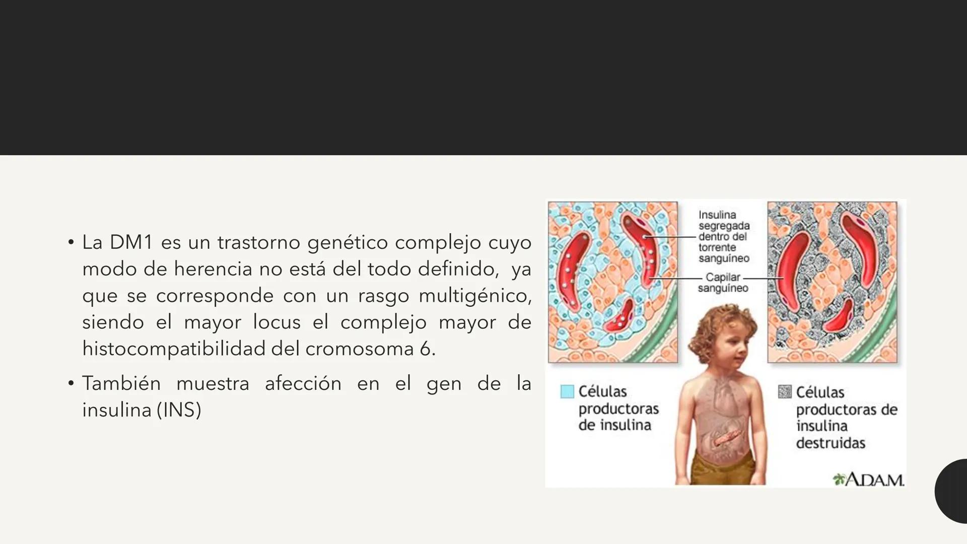 # CARBOHIDRATOS Los carbohidratos (hidratos de carbono)
incluyen azúcares, glucógeno, almidones y
celulosa. Si bien son un grupo grande y di