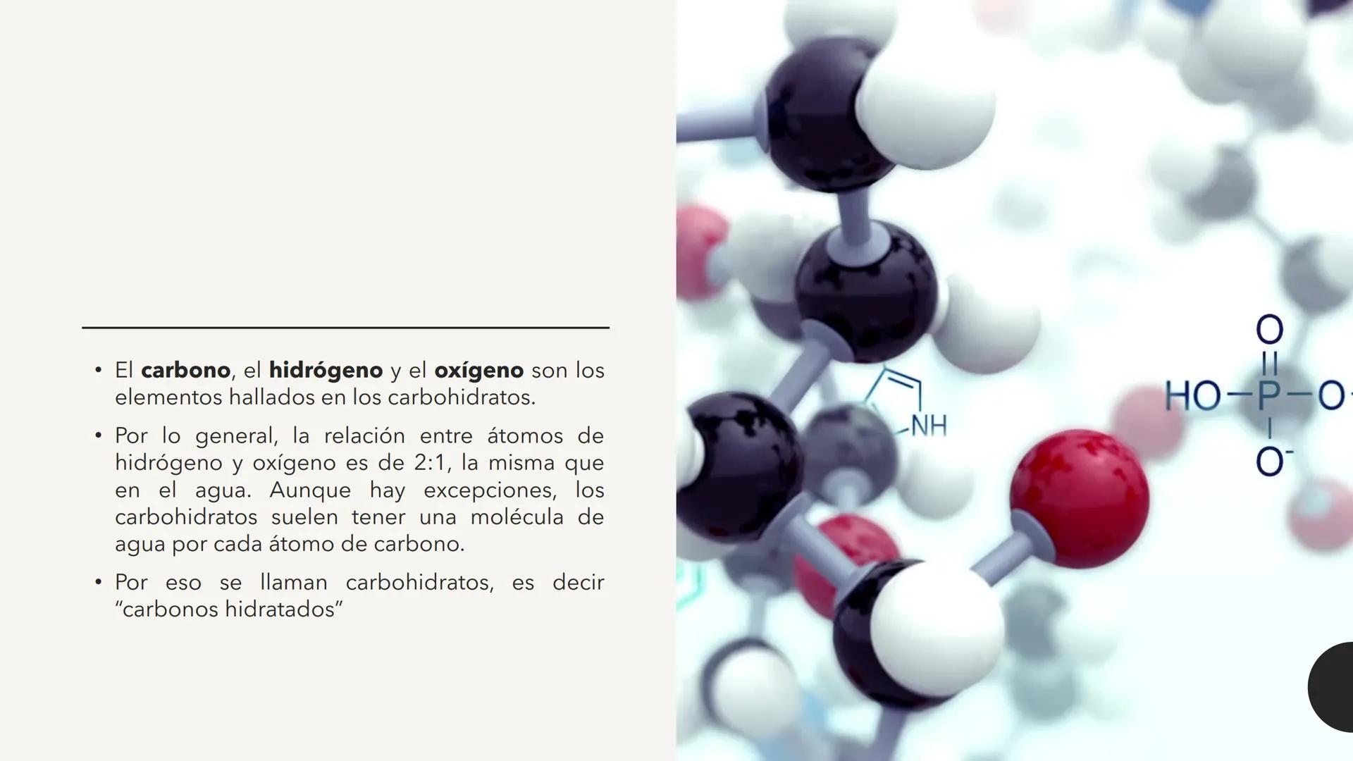 # CARBOHIDRATOS Los carbohidratos (hidratos de carbono)
incluyen azúcares, glucógeno, almidones y
celulosa. Si bien son un grupo grande y di