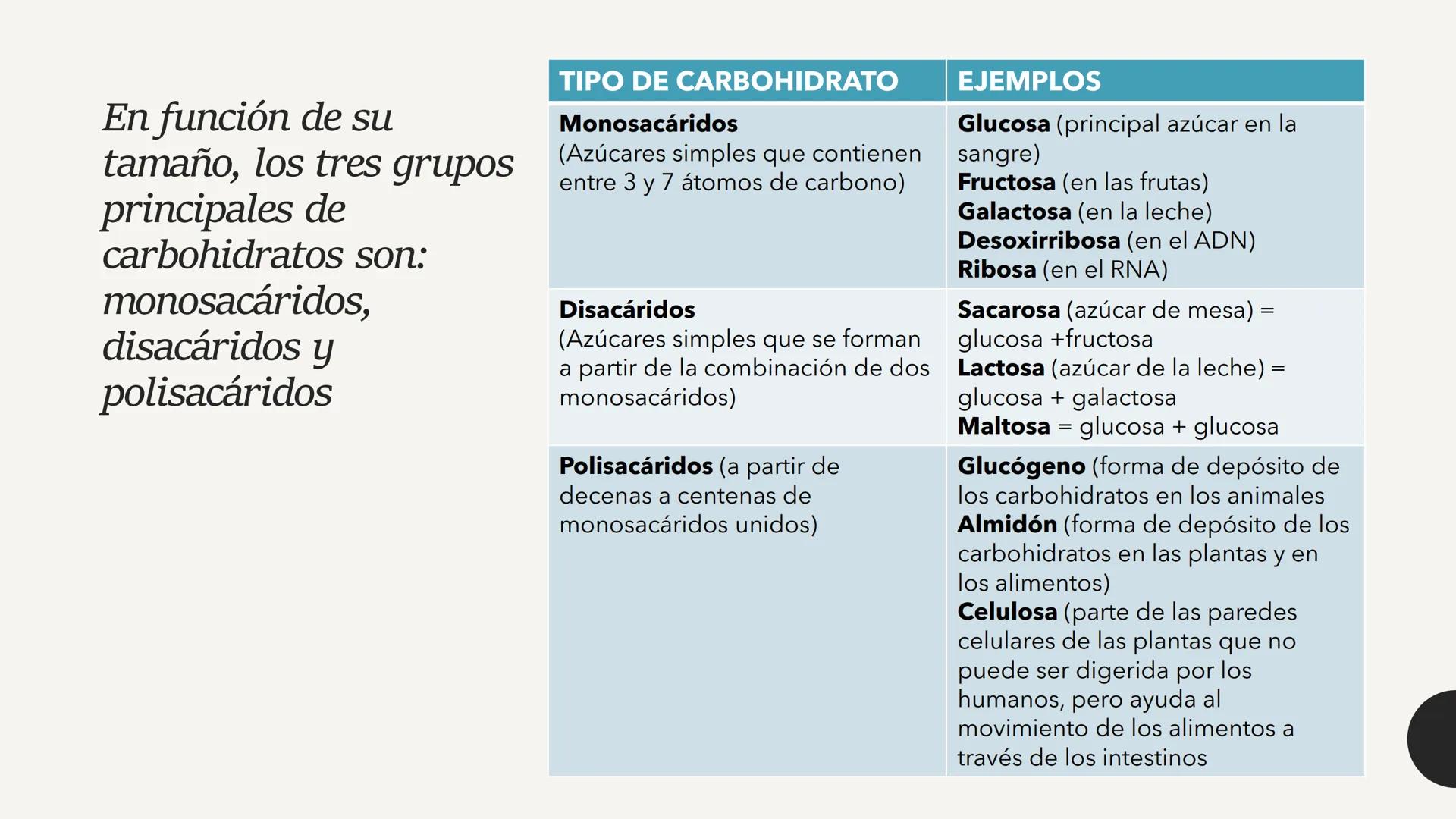 # CARBOHIDRATOS Los carbohidratos (hidratos de carbono)
incluyen azúcares, glucógeno, almidones y
celulosa. Si bien son un grupo grande y di