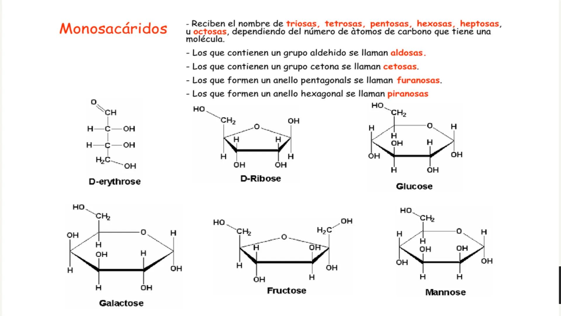 # CARBOHIDRATOS Los carbohidratos (hidratos de carbono)
incluyen azúcares, glucógeno, almidones y
celulosa. Si bien son un grupo grande y di