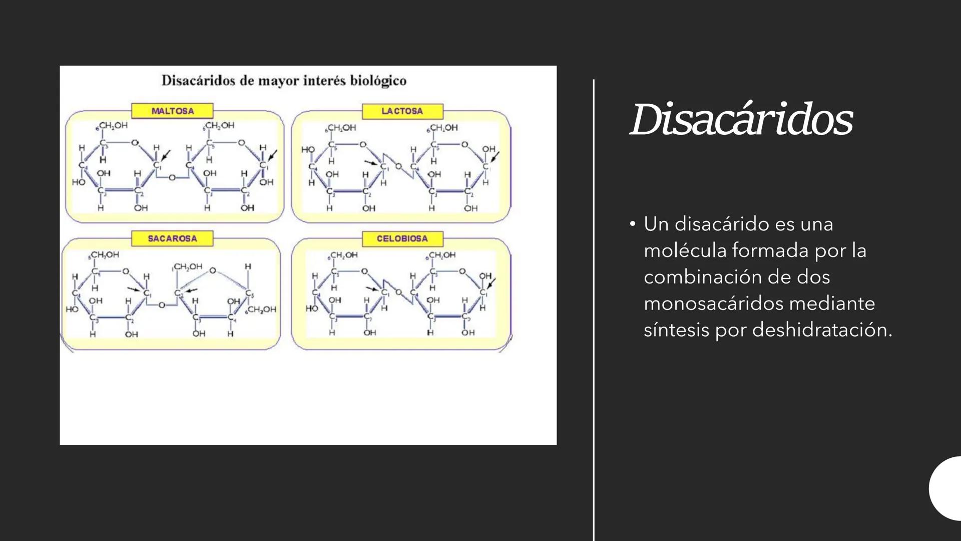 # CARBOHIDRATOS Los carbohidratos (hidratos de carbono)
incluyen azúcares, glucógeno, almidones y
celulosa. Si bien son un grupo grande y di