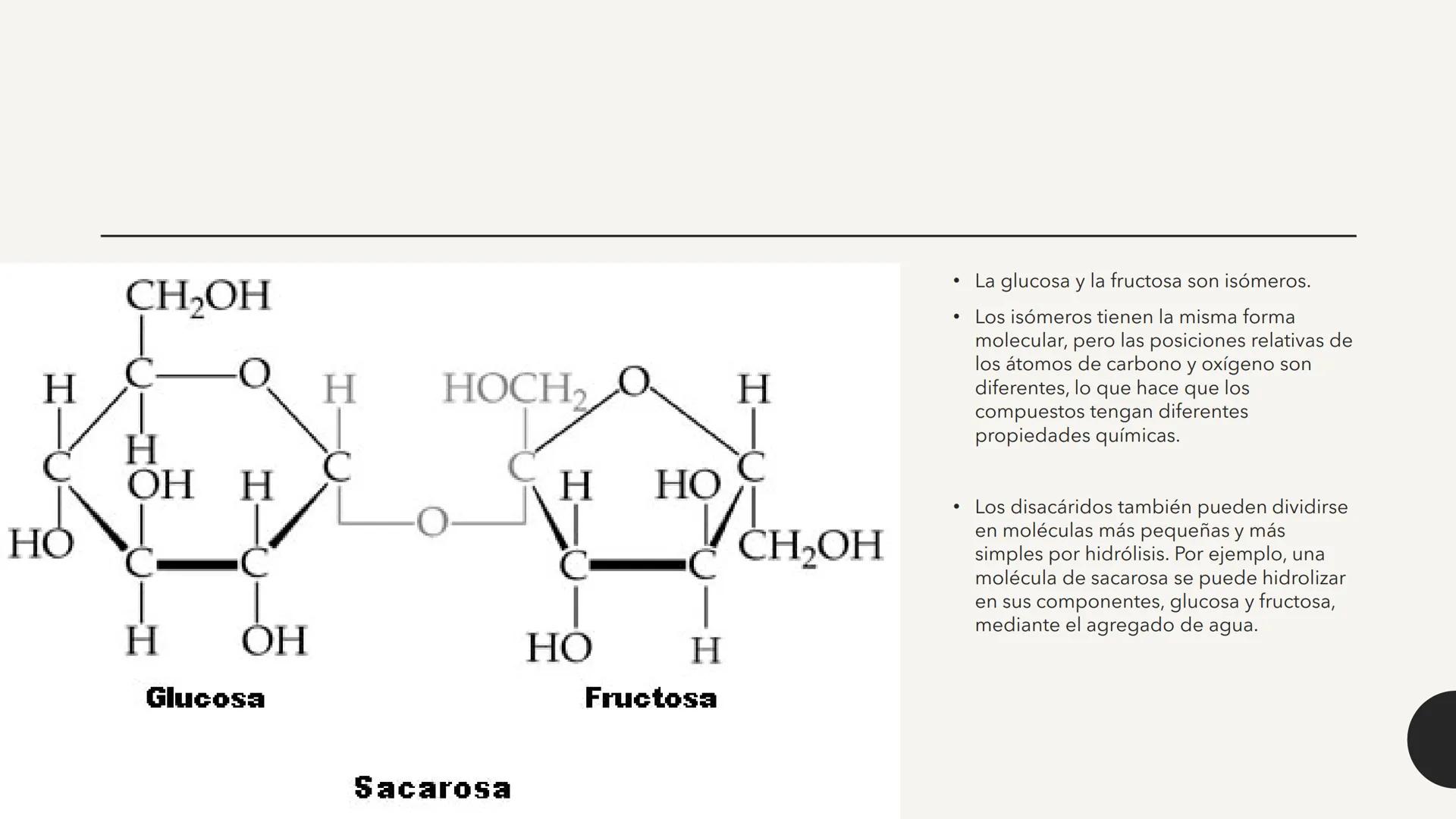 # CARBOHIDRATOS Los carbohidratos (hidratos de carbono)
incluyen azúcares, glucógeno, almidones y
celulosa. Si bien son un grupo grande y di