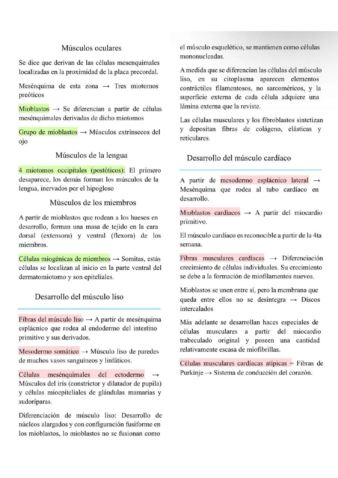 # Sistema muscular
- Se desarrolla a partir de la capa germinal mesodérmica y está formado por músculo
cardíaco, liso y esquelético.
- El m