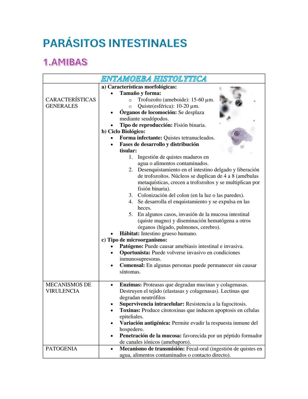 PARÁSITOS INTESTINALES
1.AMIBAS
CARACTERÍSTICAS
GENERALES
ENTAMOEBA HISTOLYTICA
a) Características morfológicas:
* Tamaño y forma: