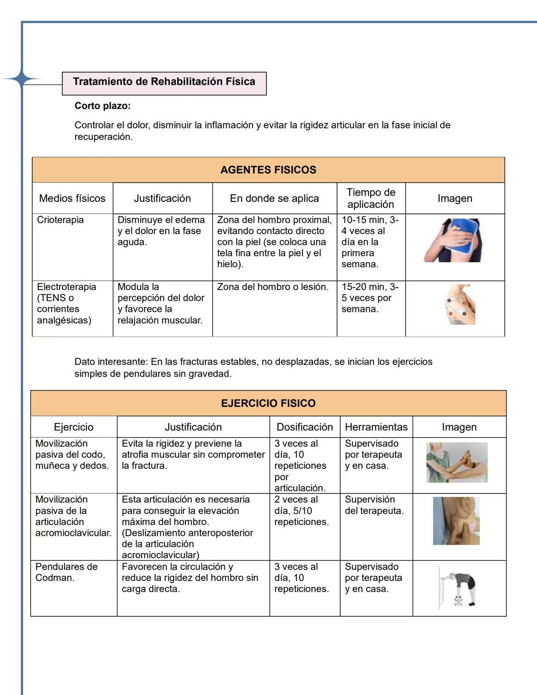 UNIVERSIDAD JUAREZ AUTONOMA DE TABASCO
División Académica Multidisciplinaria de Comalcalco
Licenciatura en Rehabilitación Física
Integrates