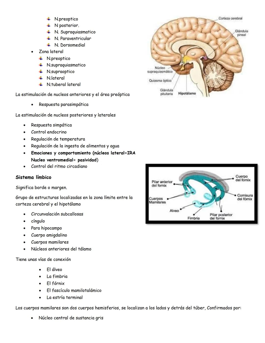 sistema nervioso central y periférico
SNC
El SNC y el sistema endocrino controlan las
funciones del cuerpo.
compuesto por células especia