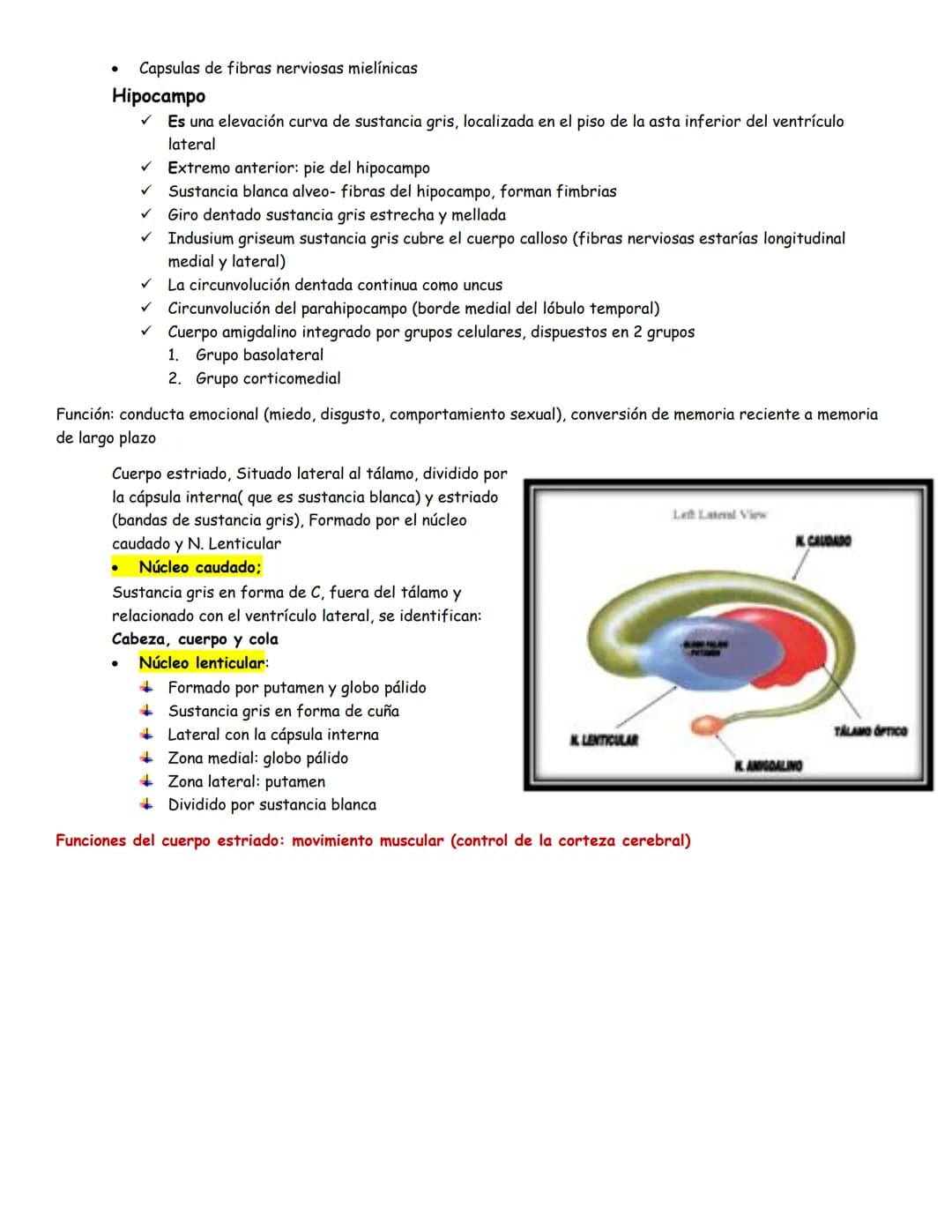 sistema nervioso central y periférico
SNC
El SNC y el sistema endocrino controlan las
funciones del cuerpo.
compuesto por células especia