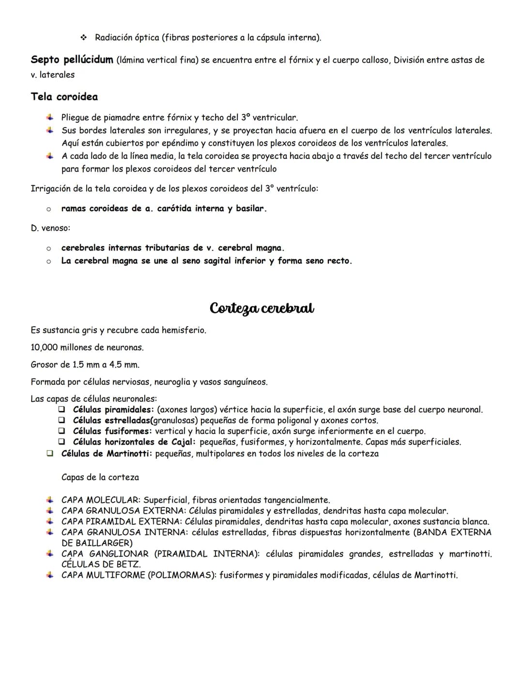 sistema nervioso central y periférico
SNC
El SNC y el sistema endocrino controlan las
funciones del cuerpo.
compuesto por células especia