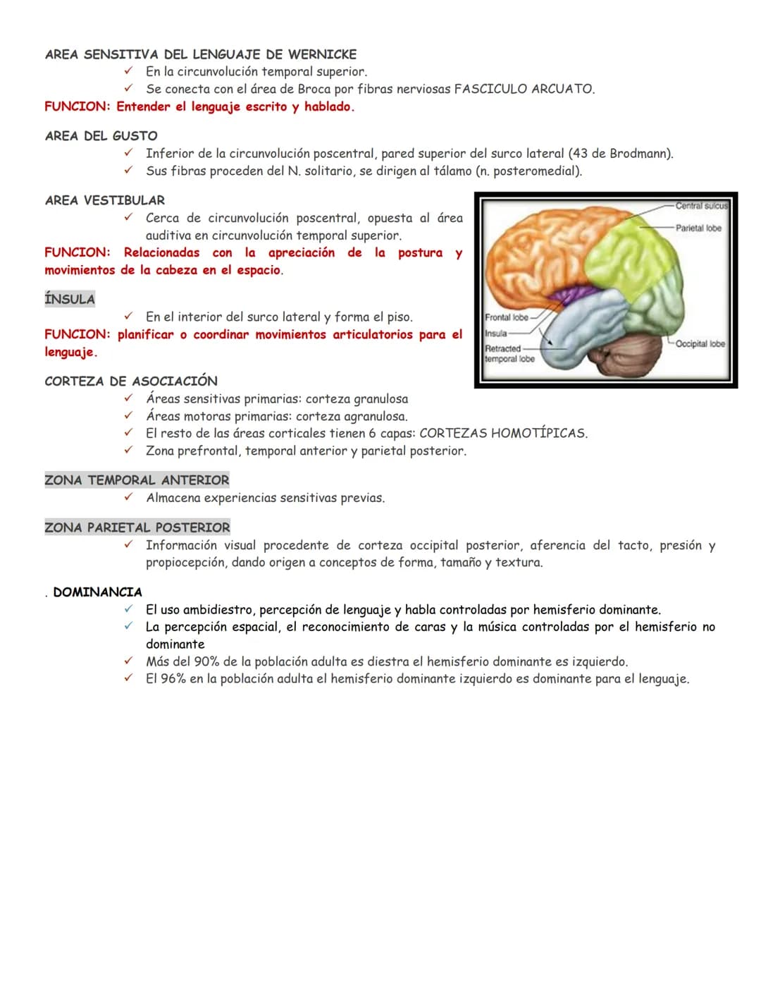 sistema nervioso central y periférico
SNC
El SNC y el sistema endocrino controlan las
funciones del cuerpo.
compuesto por células especia