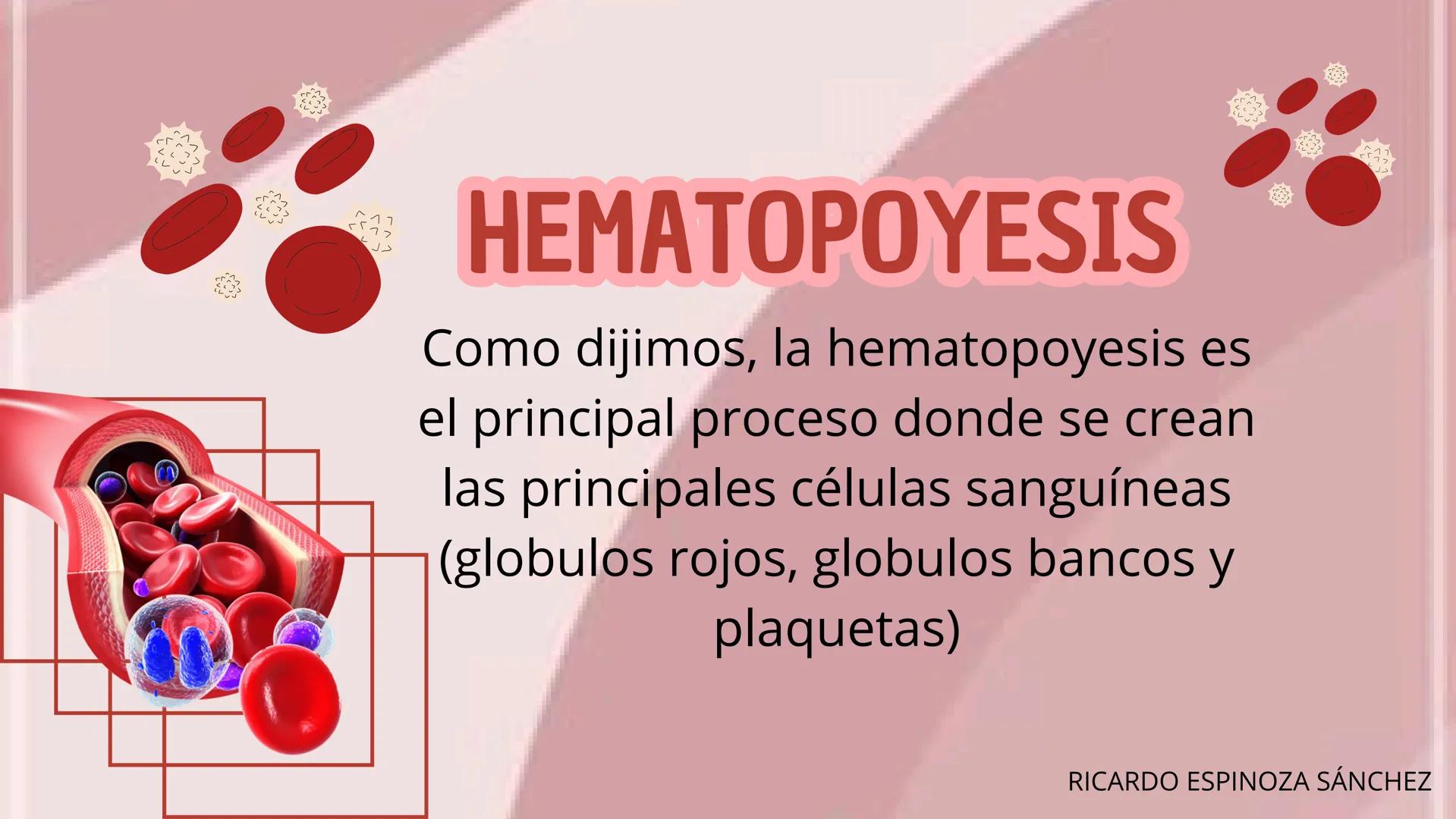 # HEMATOPOYESIS
EQUIPO #3 # Chelssy Janeth Cisneros Rodriguez
¿Qué es la
Hematopoyesis? Chelssy Janeth Cisneros Rodriguez
¿Qué es la Hema