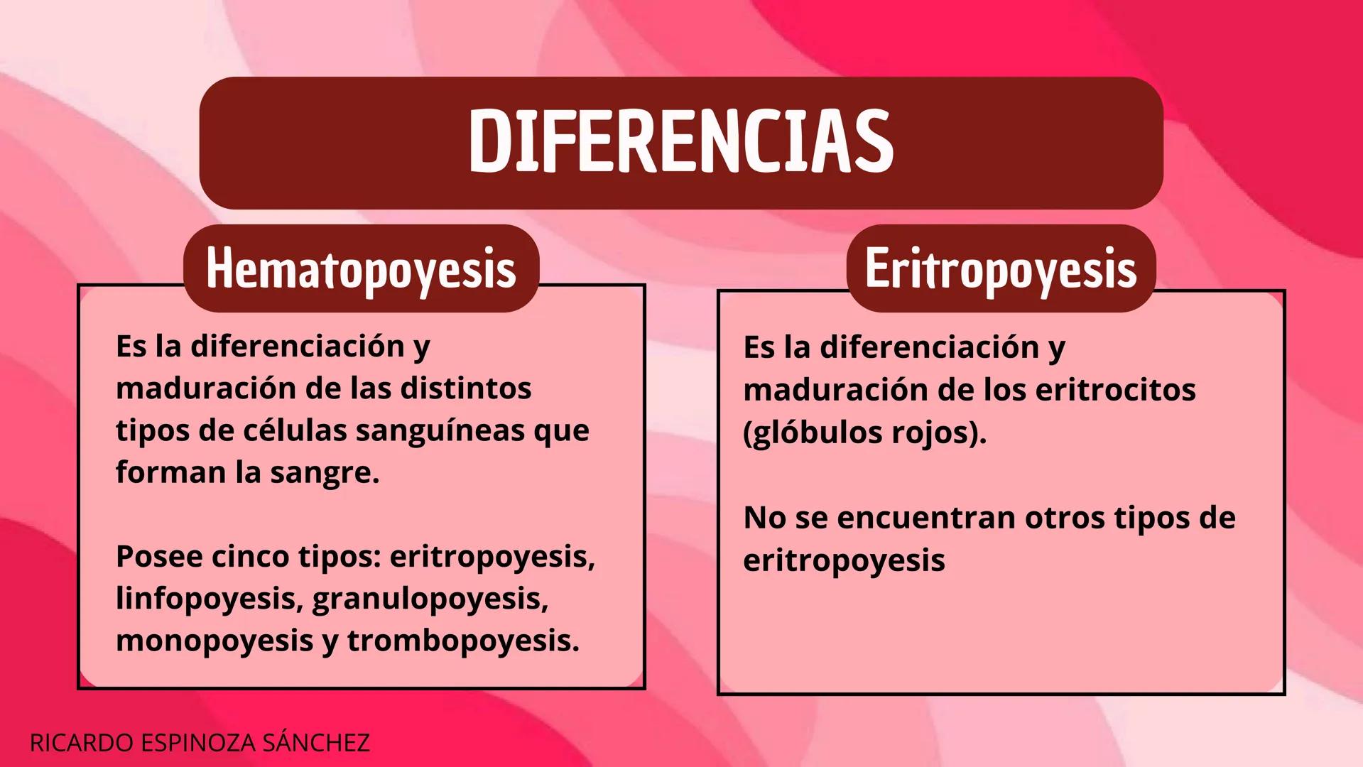# HEMATOPOYESIS
EQUIPO #3 # Chelssy Janeth Cisneros Rodriguez
¿Qué es la
Hematopoyesis? Chelssy Janeth Cisneros Rodriguez
¿Qué es la Hema