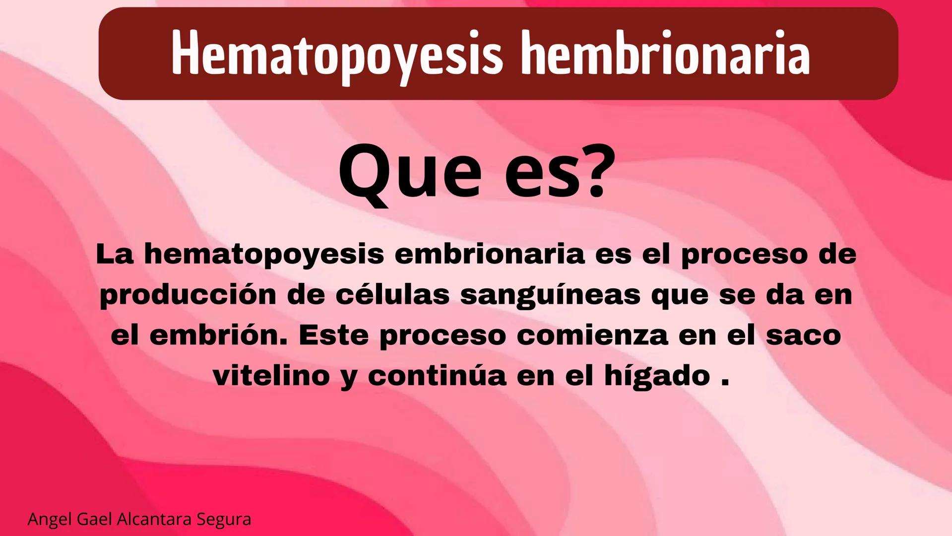 # HEMATOPOYESIS
EQUIPO #3 # Chelssy Janeth Cisneros Rodriguez
¿Qué es la
Hematopoyesis? Chelssy Janeth Cisneros Rodriguez
¿Qué es la Hema