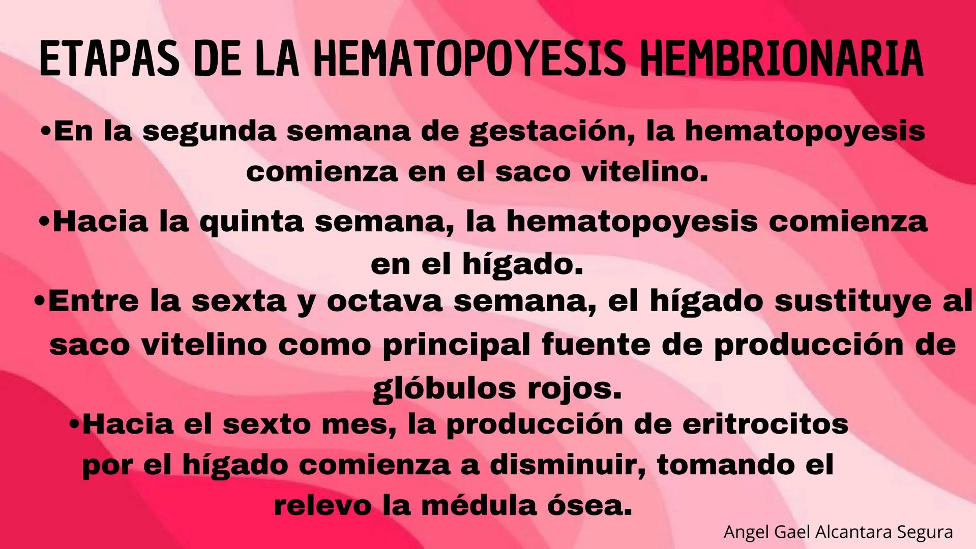 # HEMATOPOYESIS
EQUIPO #3 # Chelssy Janeth Cisneros Rodriguez
¿Qué es la
Hematopoyesis? Chelssy Janeth Cisneros Rodriguez
¿Qué es la Hema