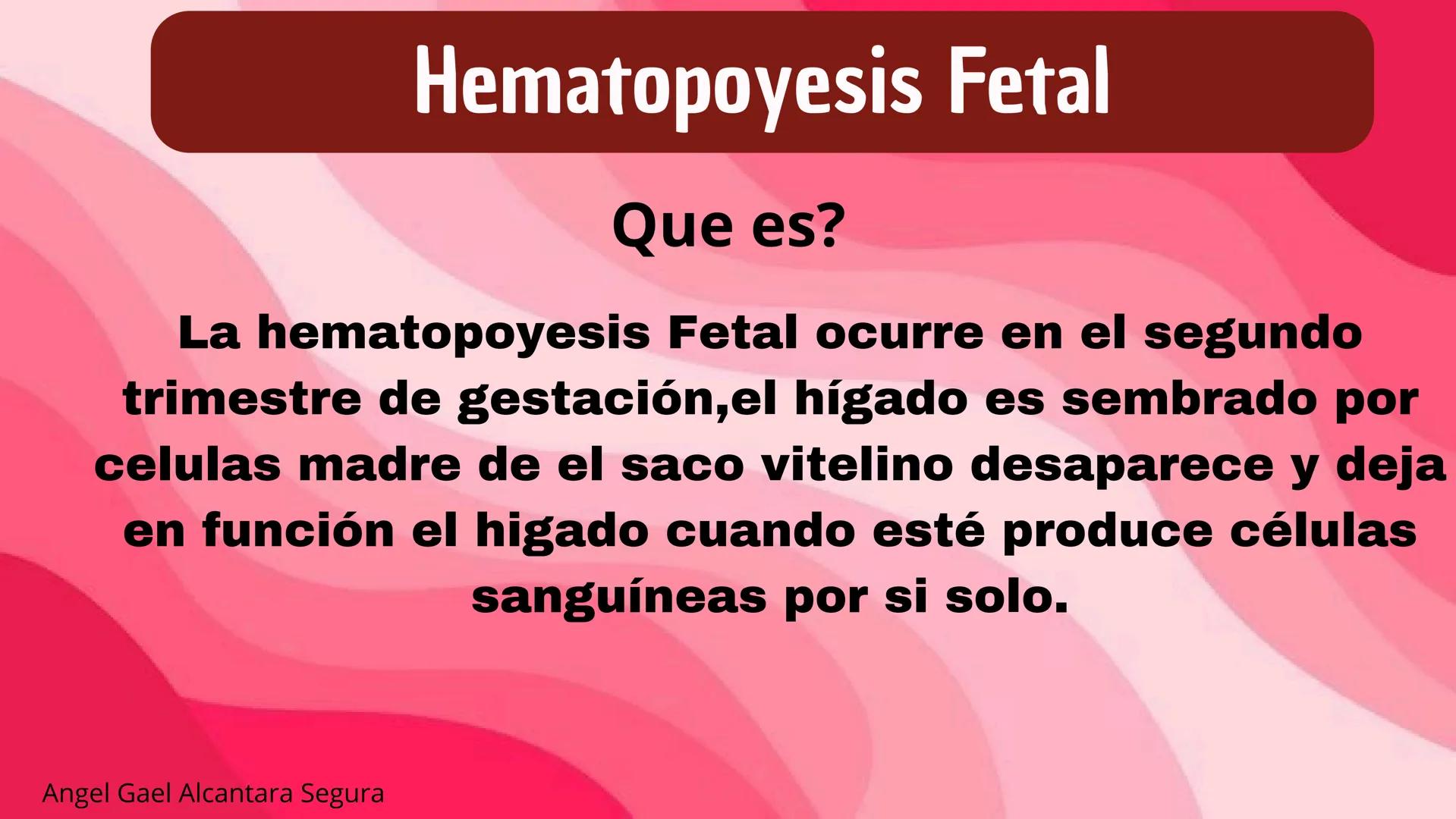 # HEMATOPOYESIS
EQUIPO #3 # Chelssy Janeth Cisneros Rodriguez
¿Qué es la
Hematopoyesis? Chelssy Janeth Cisneros Rodriguez
¿Qué es la Hema