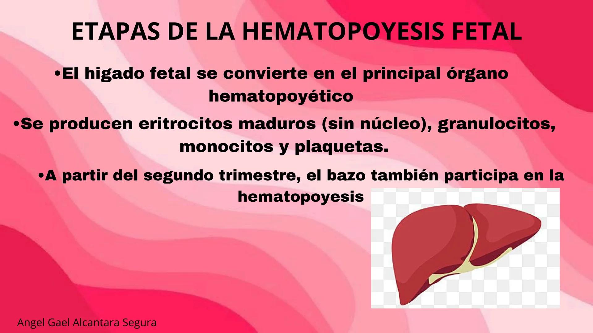 # HEMATOPOYESIS
EQUIPO #3 # Chelssy Janeth Cisneros Rodriguez
¿Qué es la
Hematopoyesis? Chelssy Janeth Cisneros Rodriguez
¿Qué es la Hema