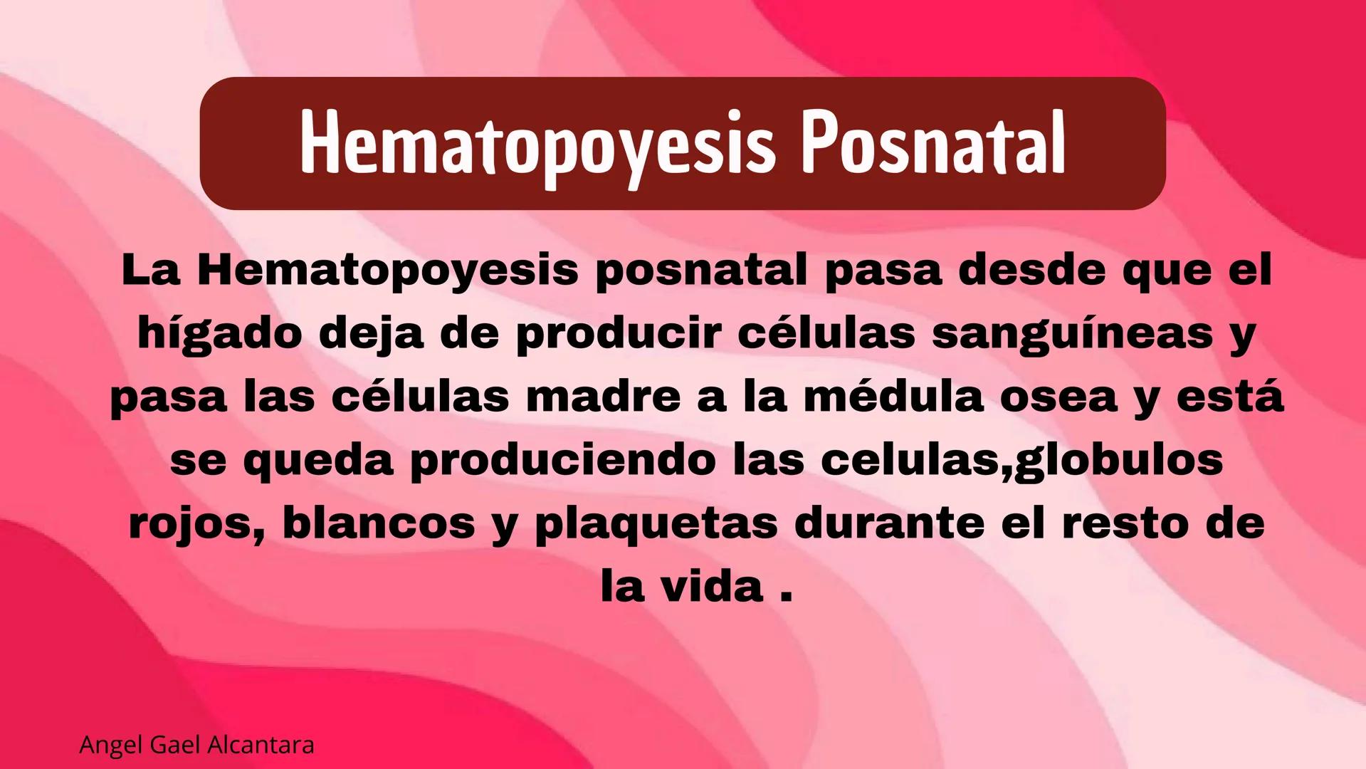 # HEMATOPOYESIS
EQUIPO #3 # Chelssy Janeth Cisneros Rodriguez
¿Qué es la
Hematopoyesis? Chelssy Janeth Cisneros Rodriguez
¿Qué es la Hema
