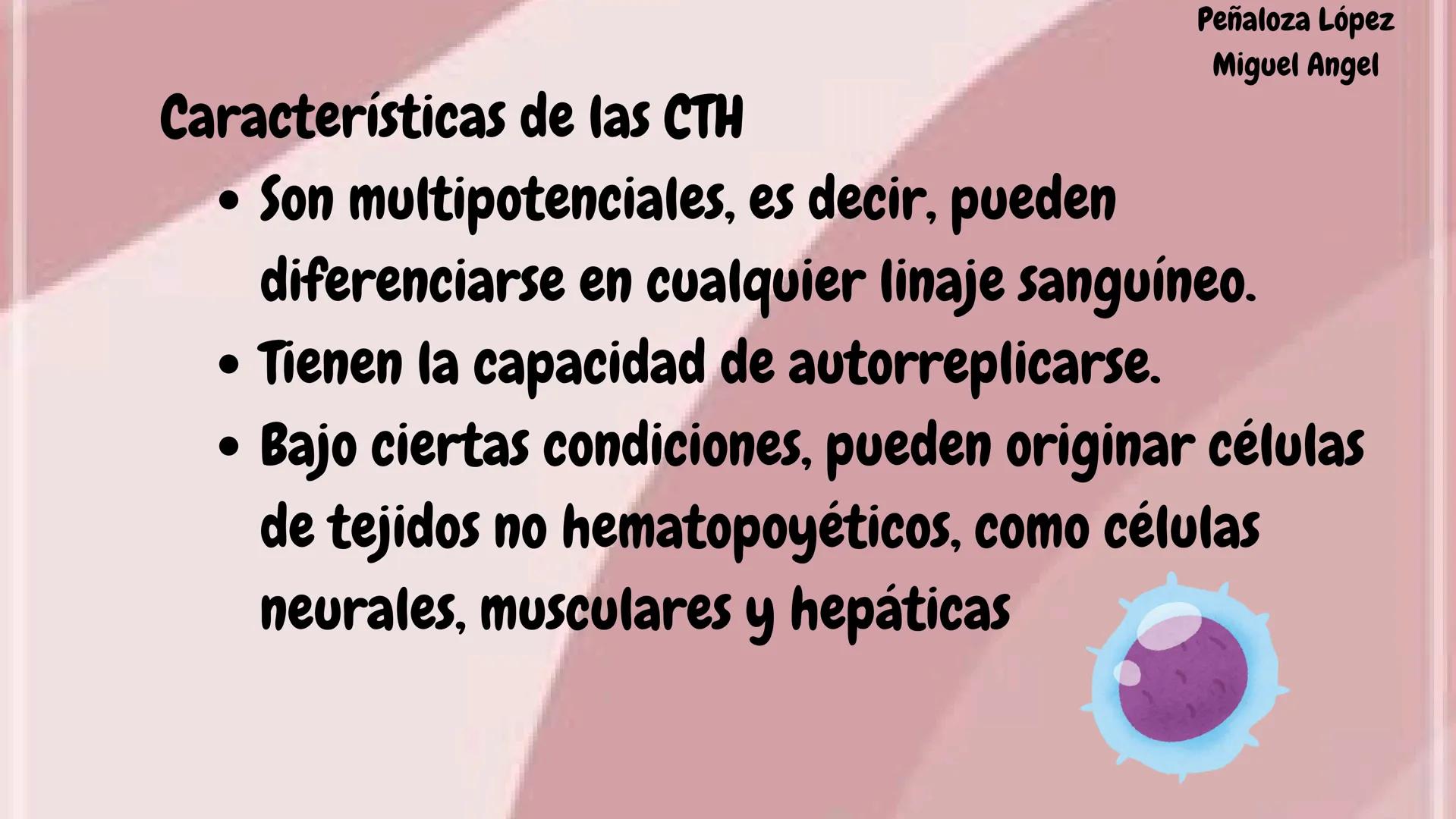 # HEMATOPOYESIS
EQUIPO #3 # Chelssy Janeth Cisneros Rodriguez
¿Qué es la
Hematopoyesis? Chelssy Janeth Cisneros Rodriguez
¿Qué es la Hema