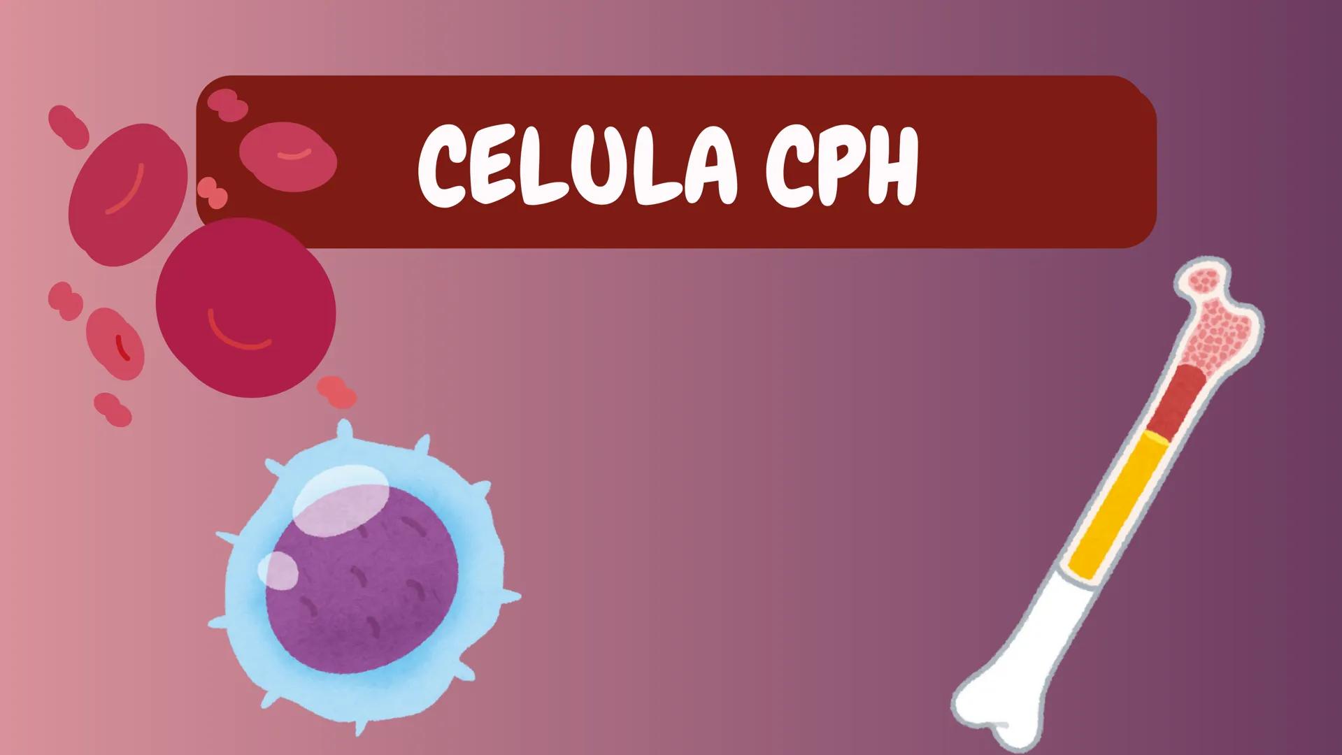 # HEMATOPOYESIS
EQUIPO #3 # Chelssy Janeth Cisneros Rodriguez
¿Qué es la
Hematopoyesis? Chelssy Janeth Cisneros Rodriguez
¿Qué es la Hema