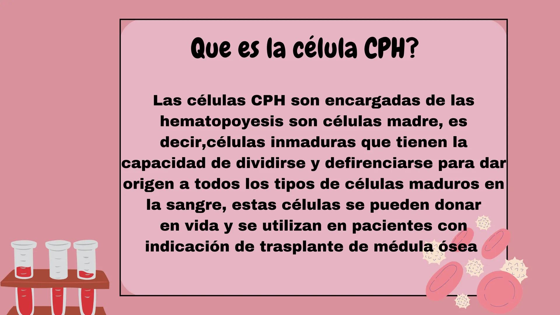 # HEMATOPOYESIS
EQUIPO #3 # Chelssy Janeth Cisneros Rodriguez
¿Qué es la
Hematopoyesis? Chelssy Janeth Cisneros Rodriguez
¿Qué es la Hema